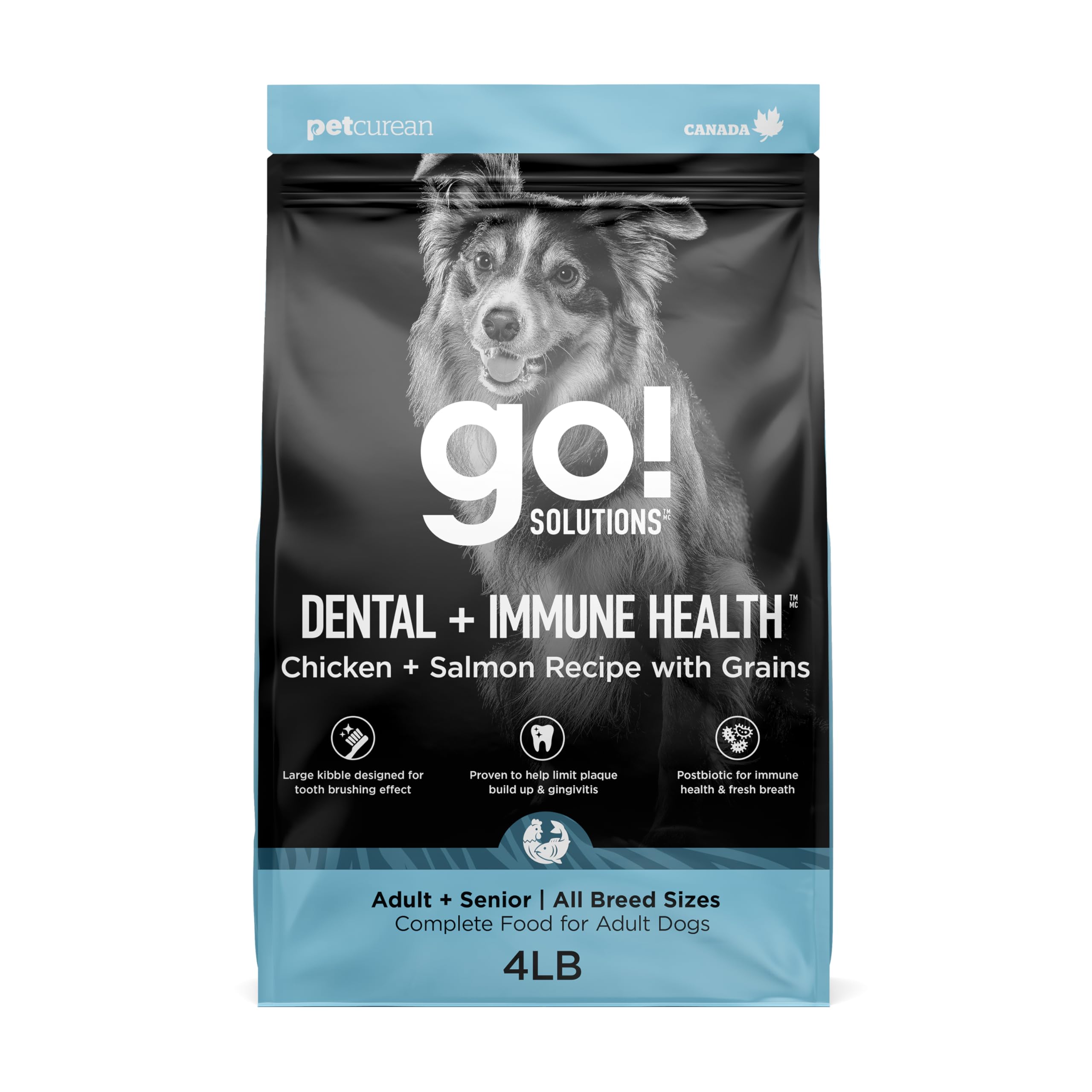 Go! Solutions Dental + Immune Health Chicken + Salmon Dry Dog Food, 4 lb