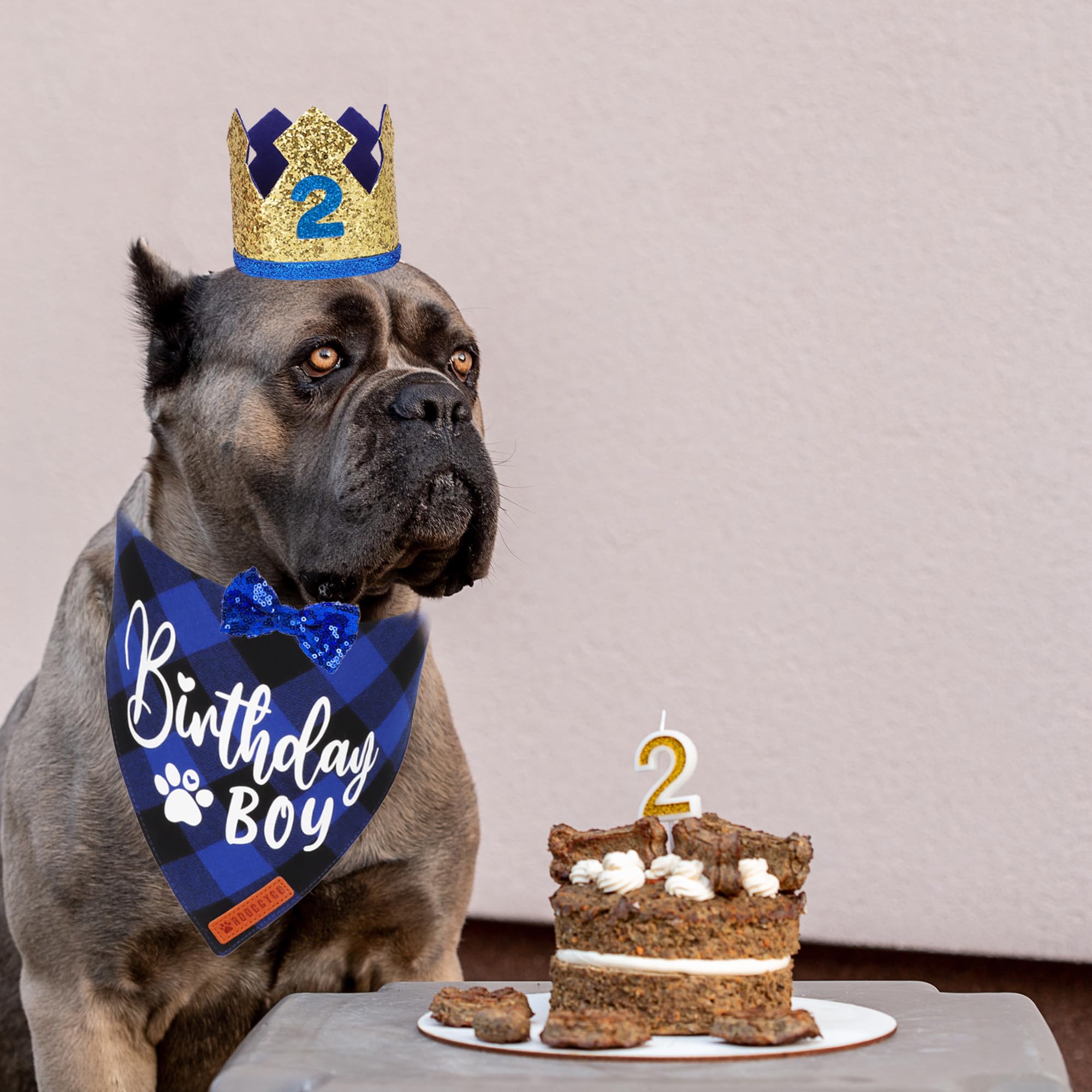 Adoggygo Dog Birthday Party Supplies, Blue Plaid Birthday Boy Dog Bandana, Golden Pet Party Hat With Numbers, Bowtie For Medium