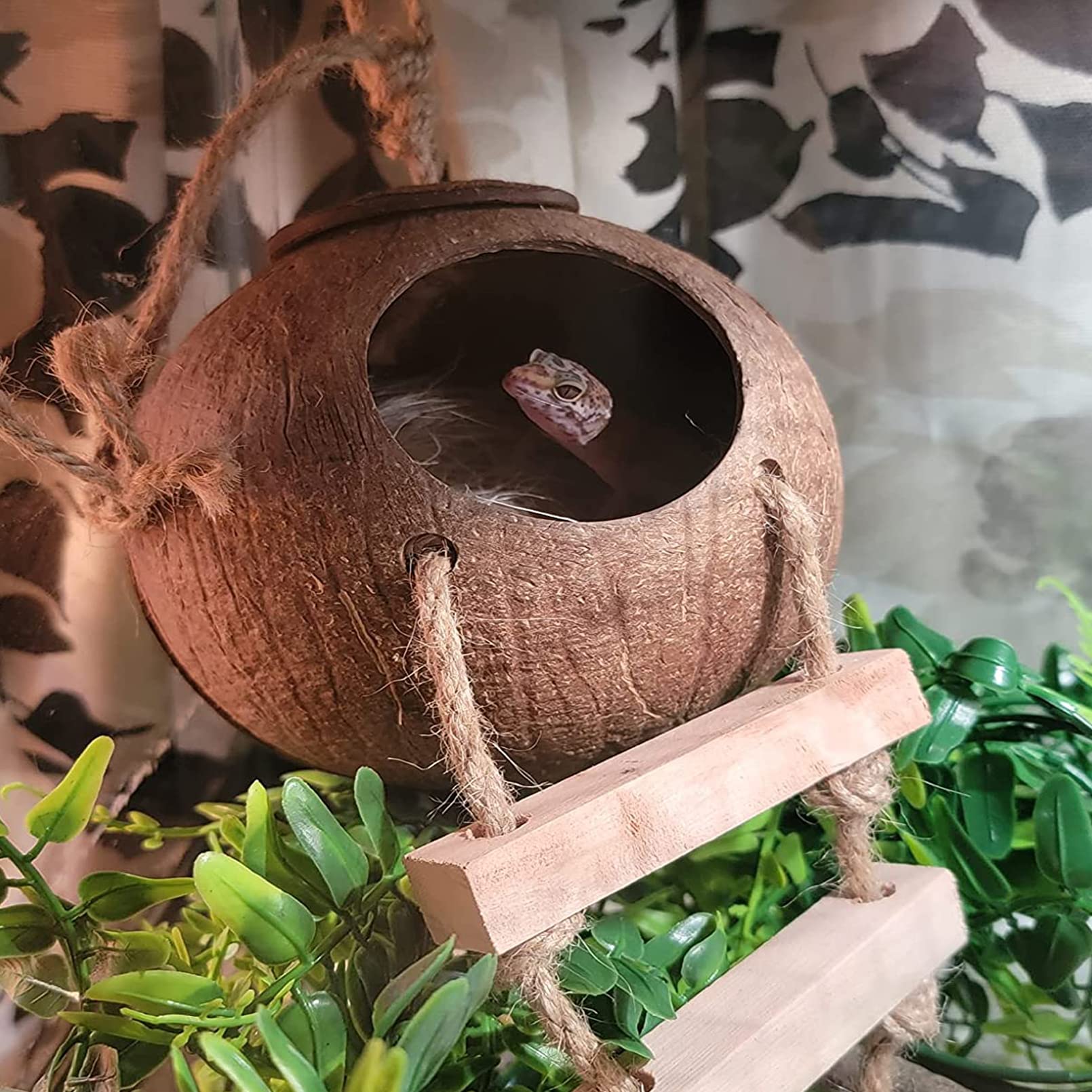 PINVNBY Crested Gecko Coconut Hut with Ladder,Natural Lizard Coconut Shell Hideout Home Reptile Coco Den with Jungle Climber Vin
