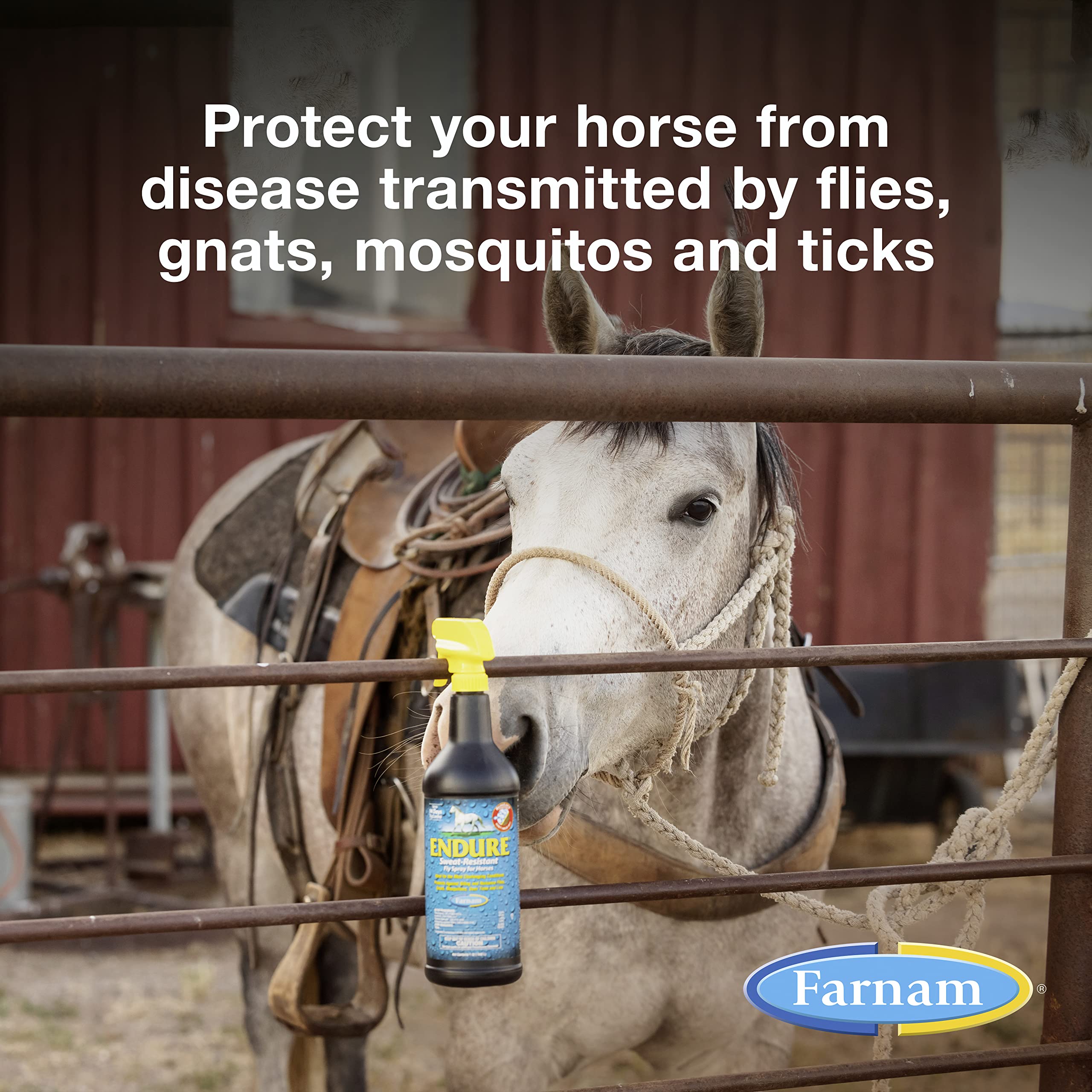 Farnam Endure Sweat-Resistant Horse Fly Spray, Kills, Repels, Protects, 32 Ounces, Quart Spray