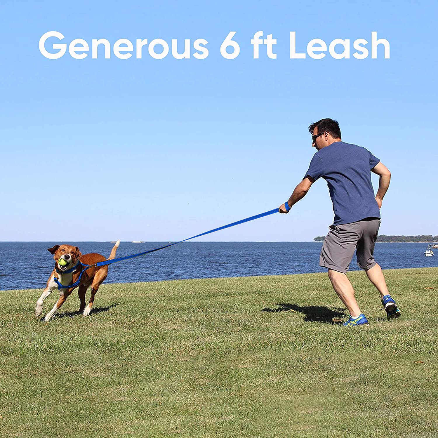 Pawtitas 6 FT Recycled Dog Leash with Reflective Stitched Thread Stitched on Side| Small Reflective Dog Leash Made from Plastic