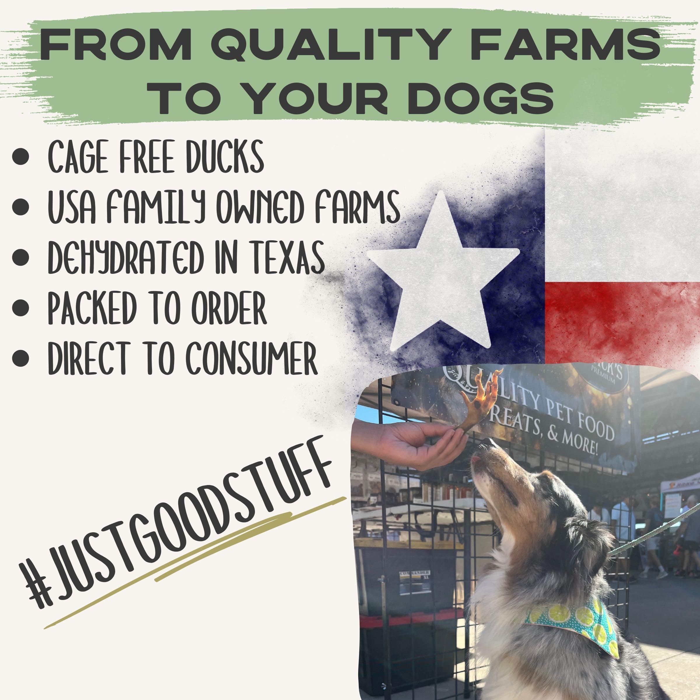 JACKS PREMIUM Dehydrated Duck Feet Dental Dog Treat All Natural Chew Fully Digestible Made in USA - Source of Glucosamine and C