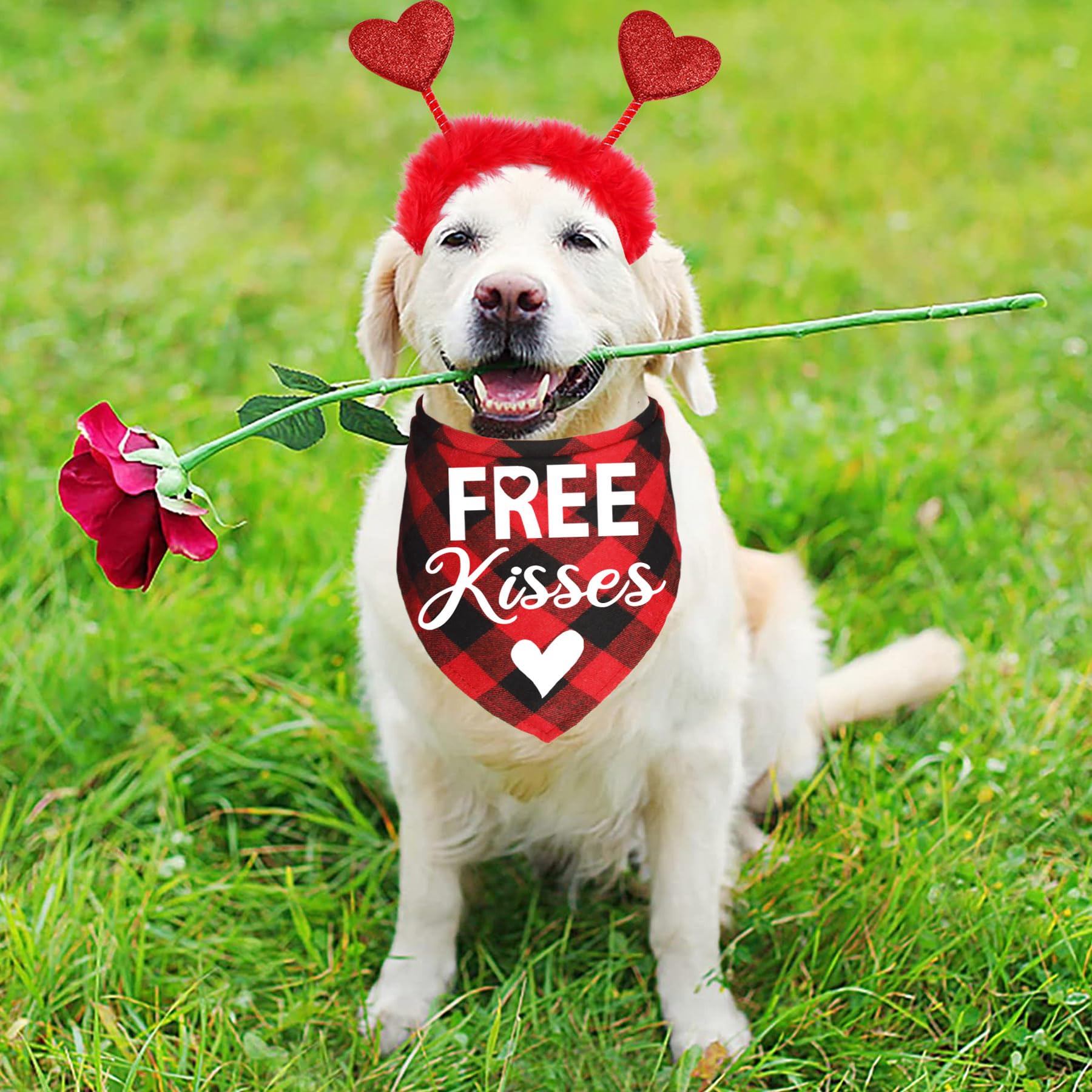 Jotfa 4 Pack Valentine'S Day Dog Bandanas Costumes, Valentines Dog Outfits Heart Headband For Small Medium Large Dogs (Red, Free