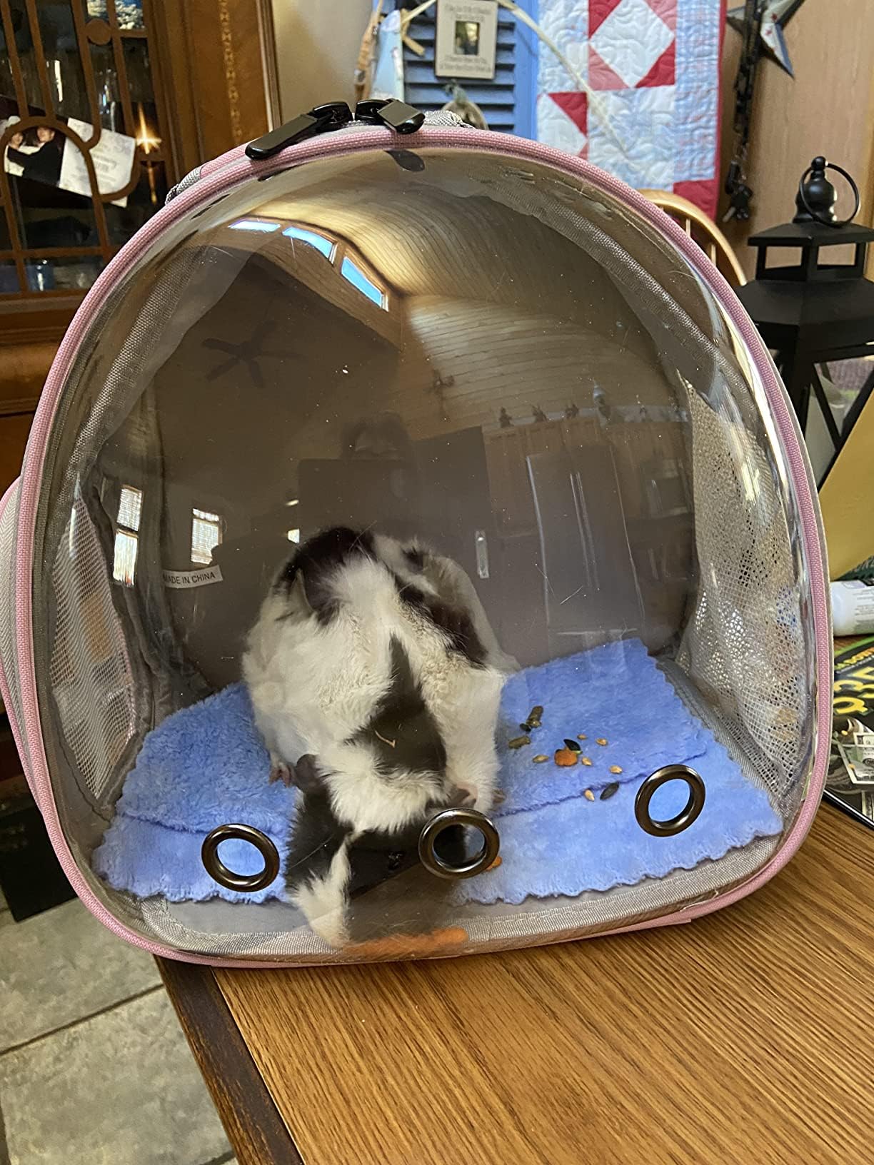 Hamster Backpack Carrier, Bearded Dragon Carrier Backpack With Clear Bubble Window,Small Animal Travel Backpack For Sugar Glider