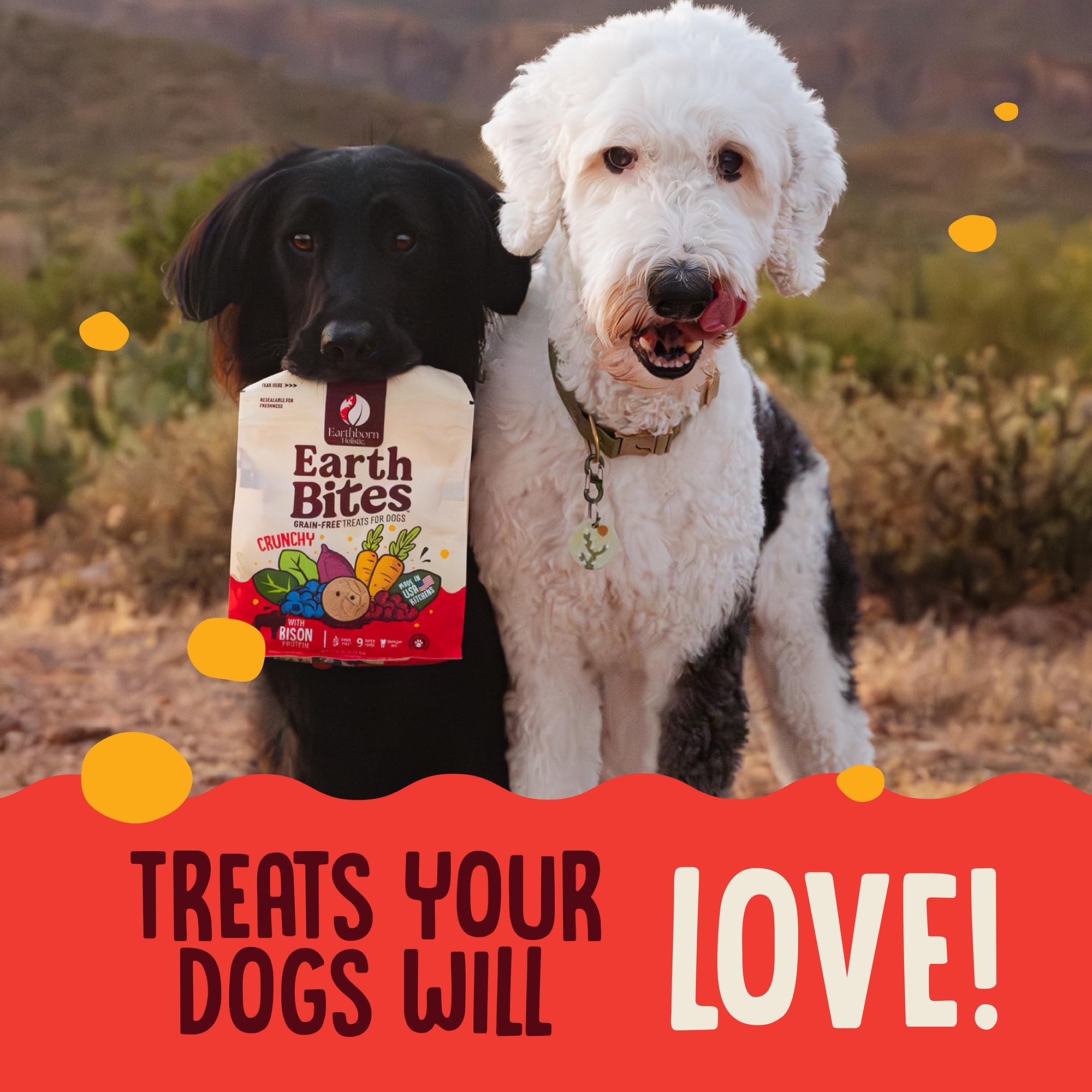 earthborn EarthBites Crunchy Grain Free Treats for Dogs (Bison)