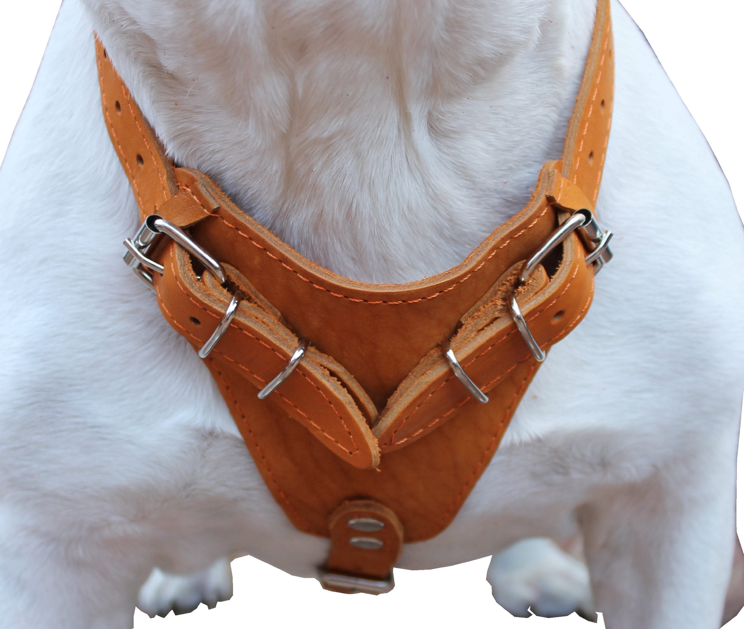 Genuine Leather Dog Harness, 29''-37'' Chest, 1'' Wide Straps, Doberman, Pitbull, Bullterrier