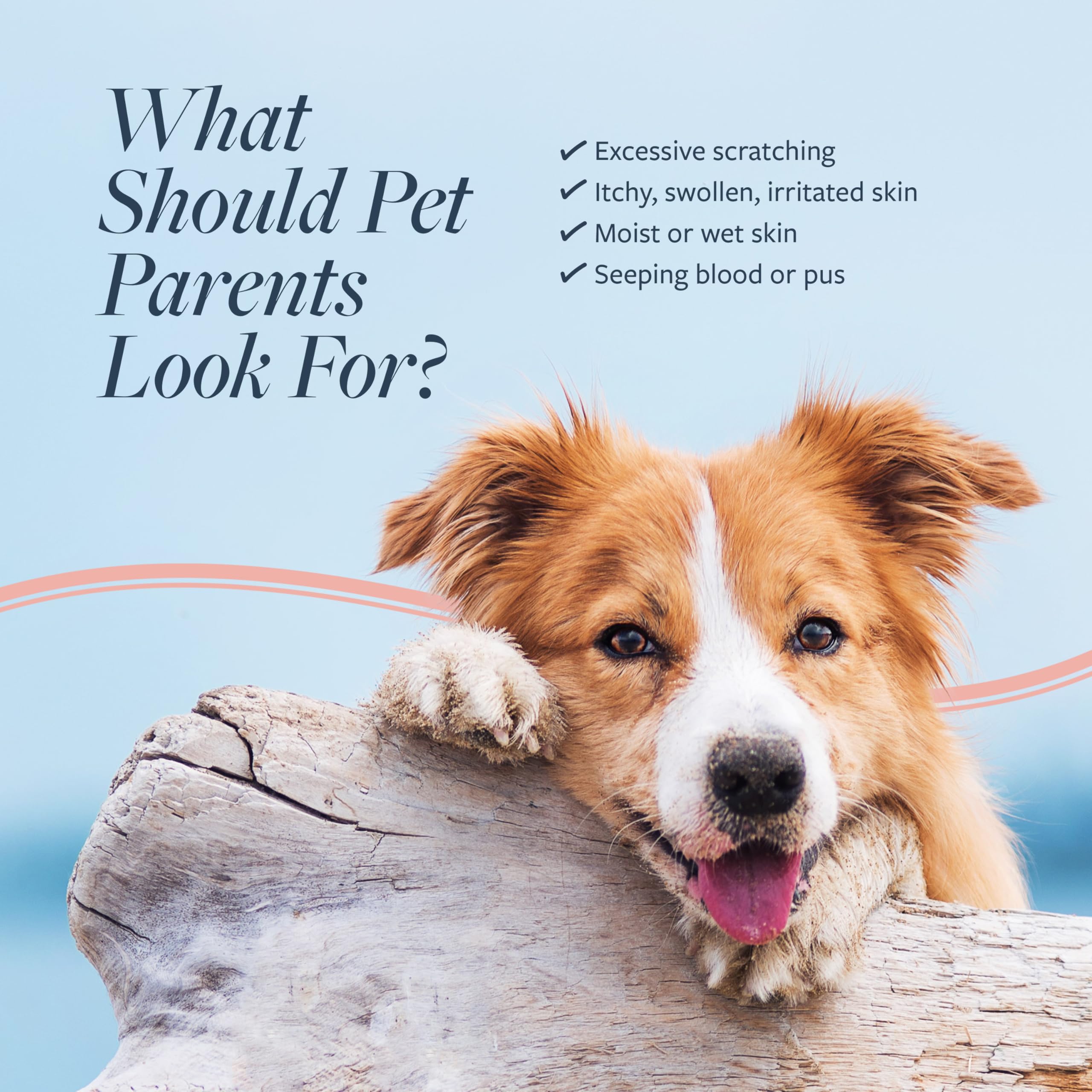 Veterinary Formula Hot Spot & Itch Relief Medicated Conditioner for Cats & Dogs, 16 oz, Oatmeal, Model FG01335