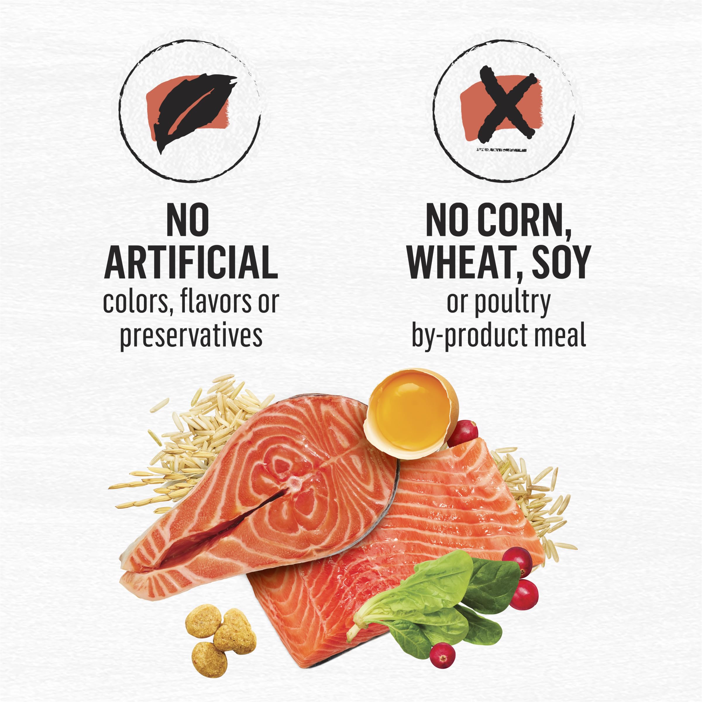 Purina Beyond Natural Wholesome Ingredients for Whole Health Dry Cat Food Salmon and Whole Brown Rice Recipe - 3 lb. Bag