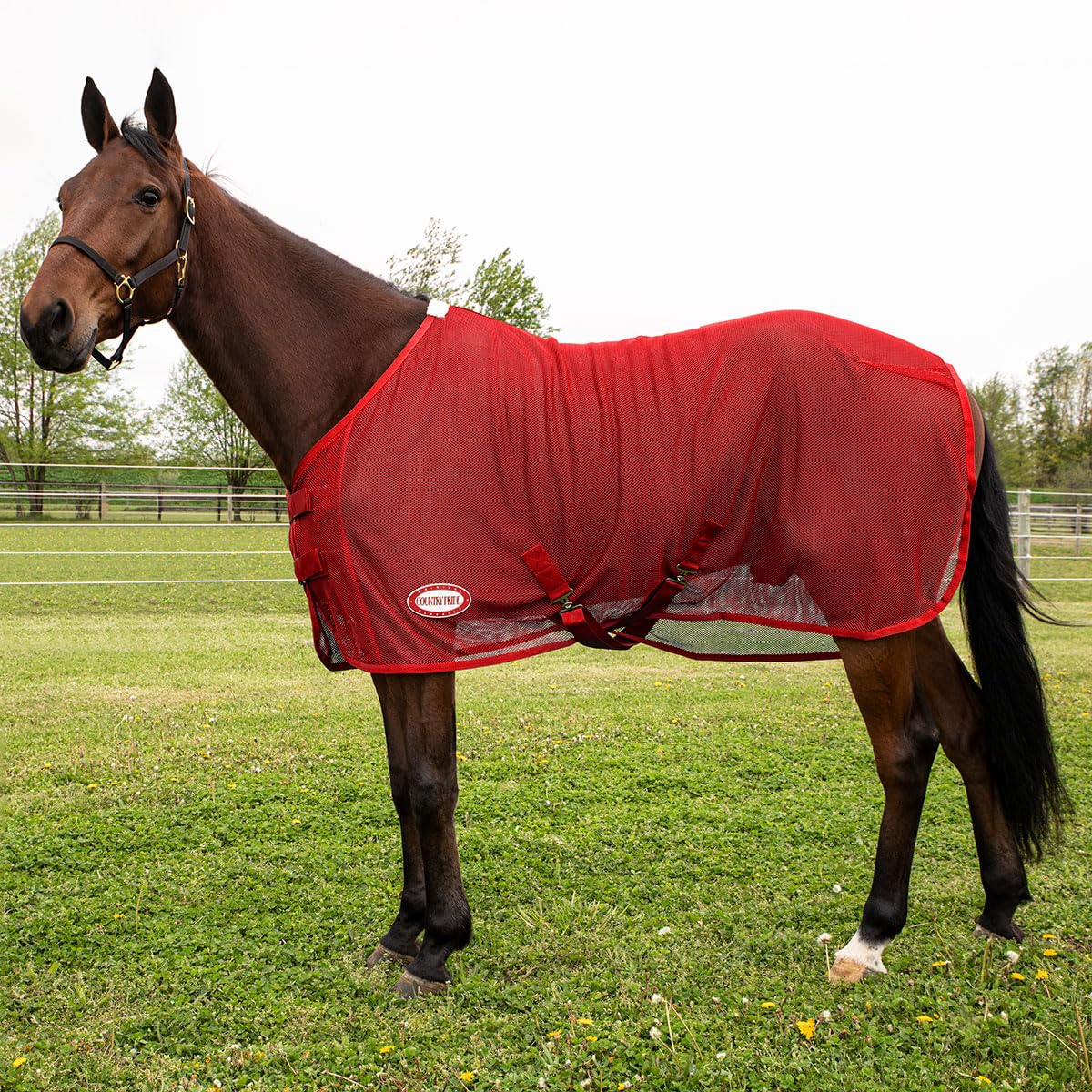 Country Pride Fitted Scrim Fly Sheet (Red, Large 78-80'')