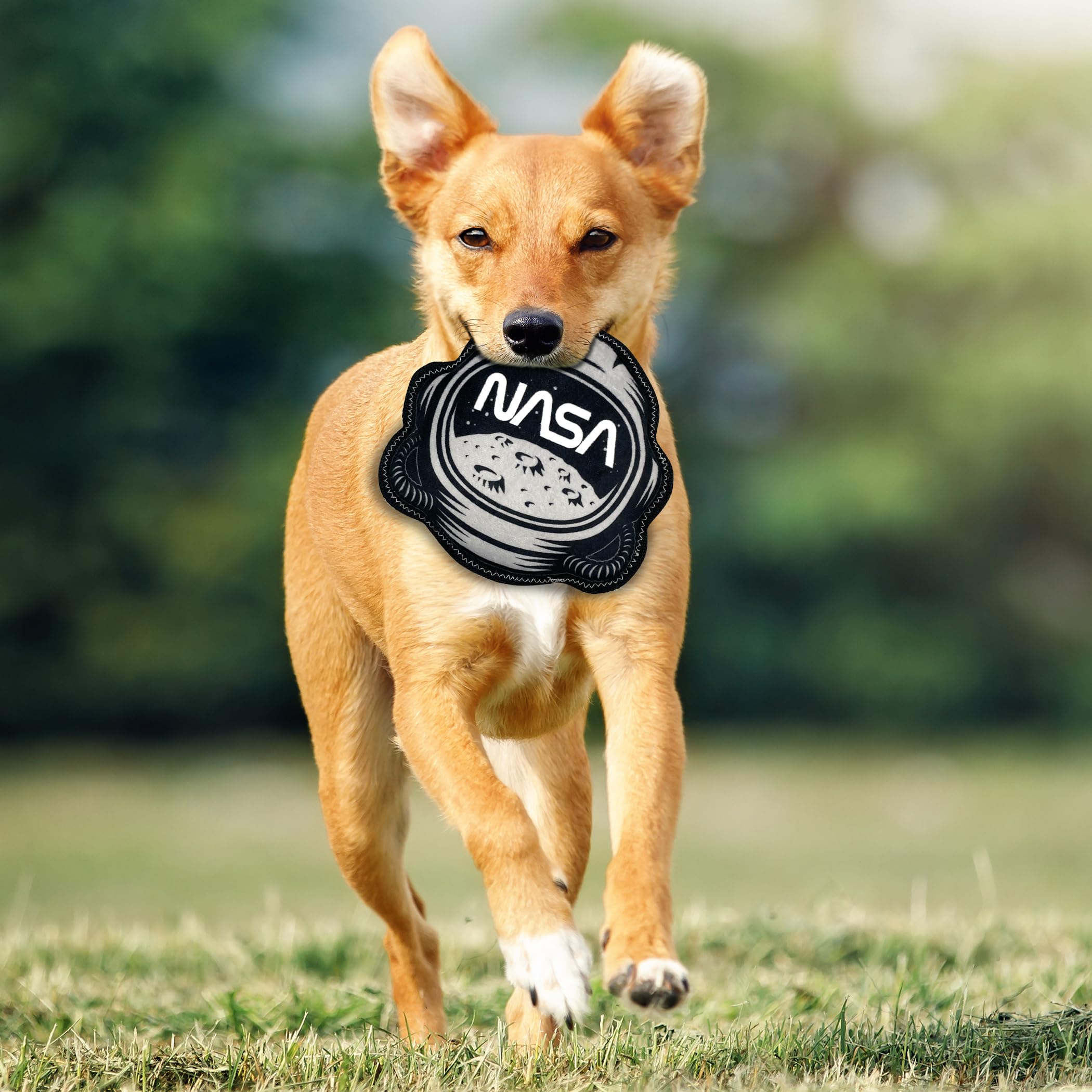 Pets First Nasa Helmet Tough Dog Toy, Space Helmet Toy For Dogs And Cats, With Nasa Logo And Design