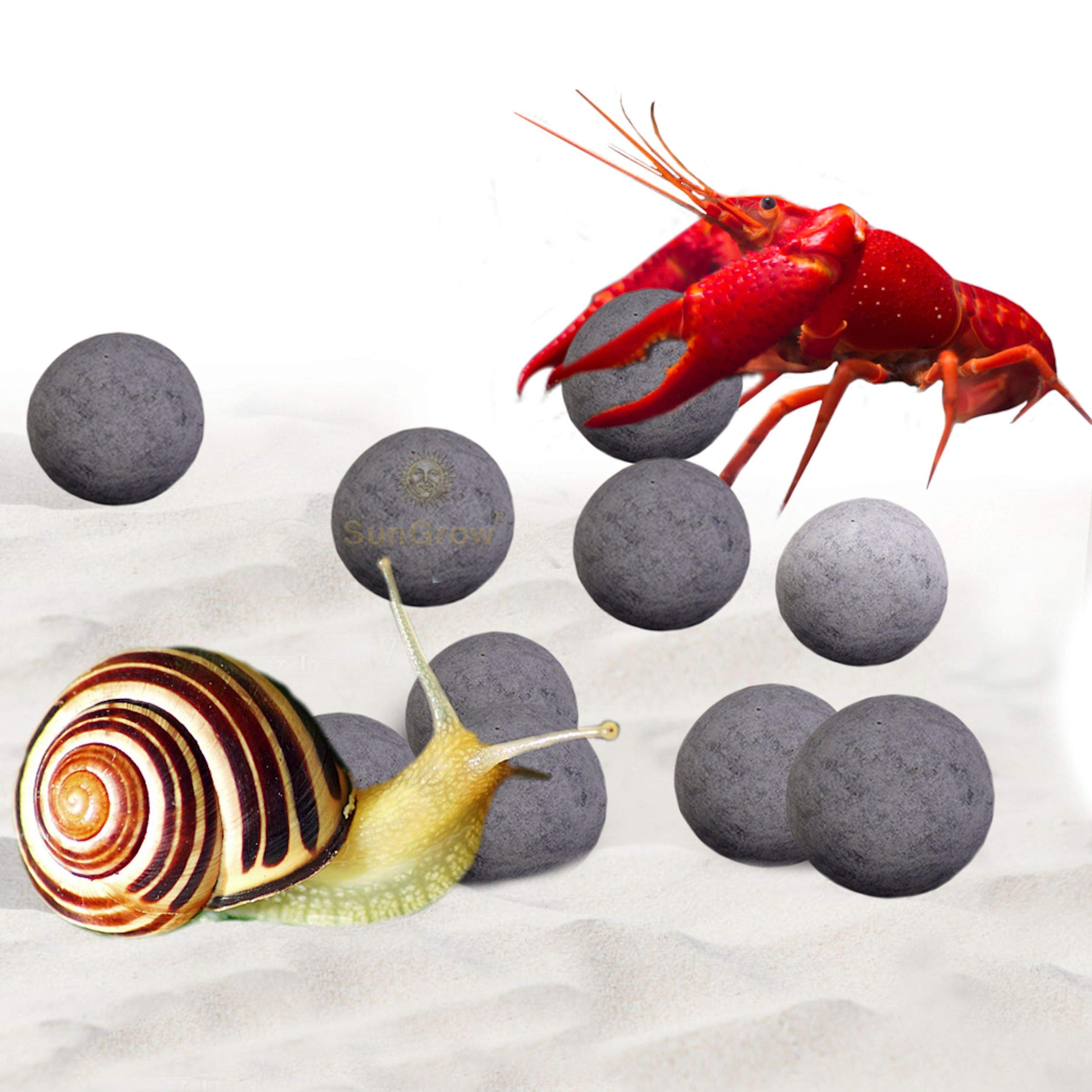 Sungrow Snail and crayfish Energy Balls, Enhance color, calcium-Rich gray Pearls for Invertebrates, Functional and Beneficial co