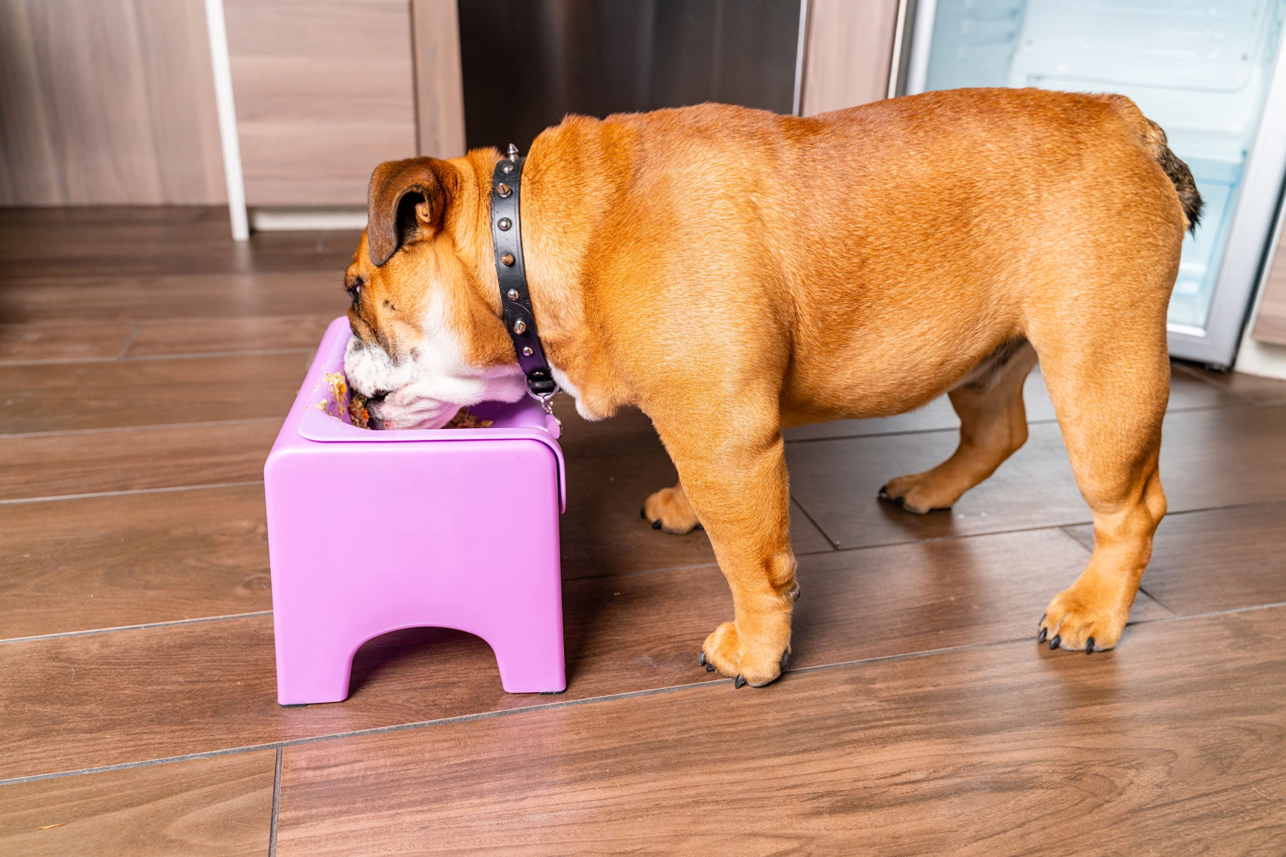 Fluff Trough Elevated Dog Bowl for Food | 5inch Tall Cat & Dog Feeding Station | Vet Approved Non-Toxic Silicone Feeder Bowl Ins