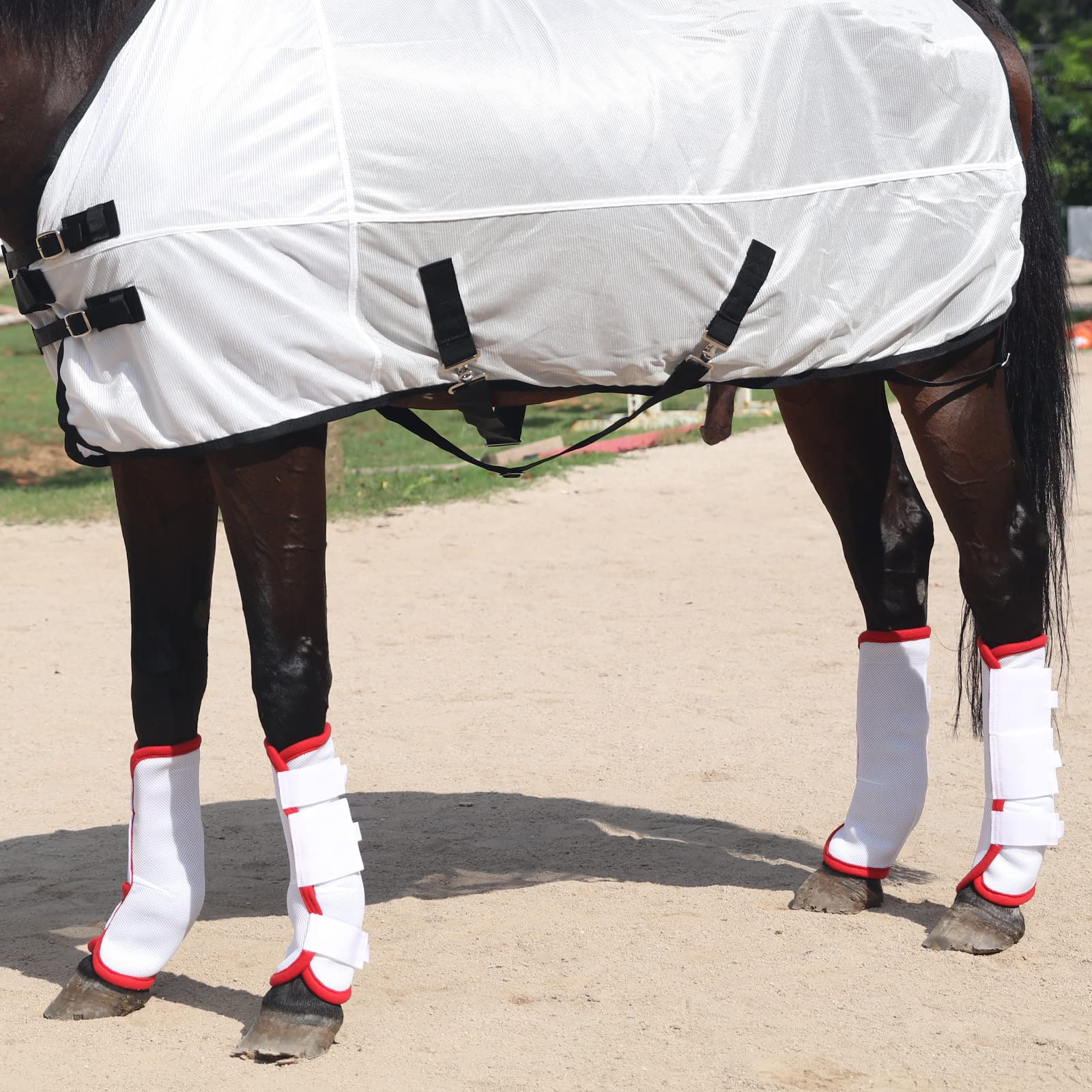 Gallopoff Fly Boots for Horses Set of 4, Breathable Comfy Mesh Horse Leggings Reduce Stomping, Hoof Stress, and Leg Fatigue Whit