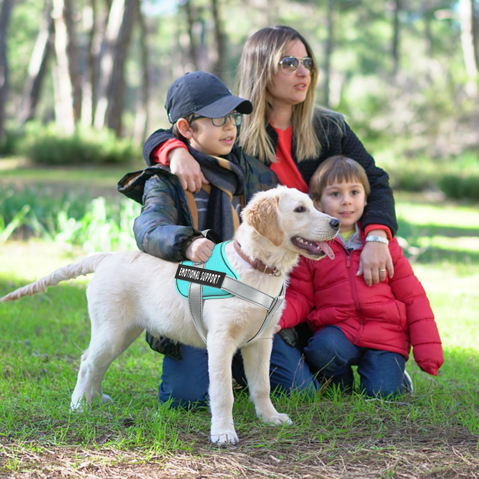 Voopet Emotional Support Dog Harness, Professional Service Dog Vest For Small Medium Large Dogs, Reflective Breathable Adjustabl
