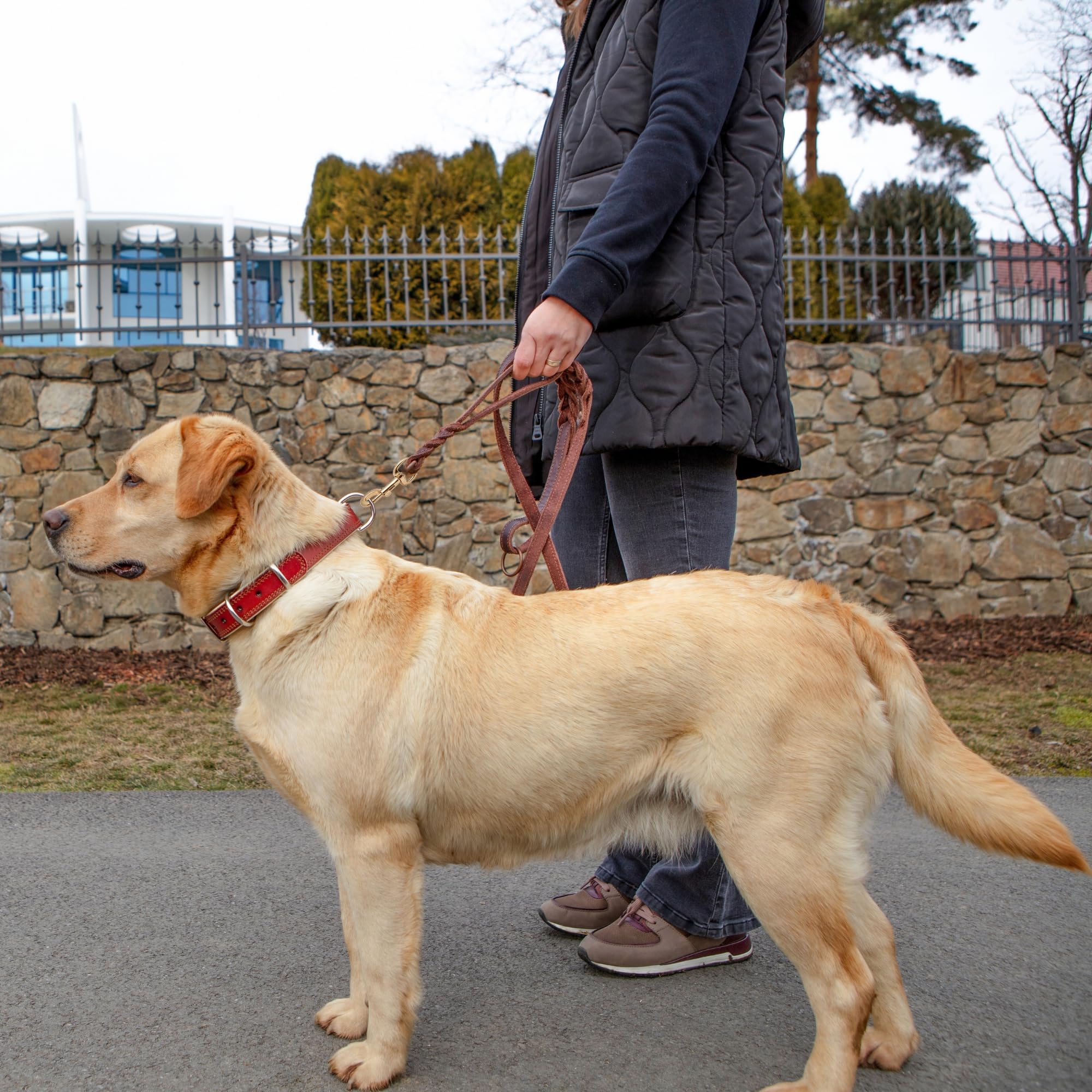 Adityna Double Handle Leather Dog Leash 6Ft - Heavy Duty Braided Leash With Traffic Handle - Lead For Training And Walking Medium & Small Dogs