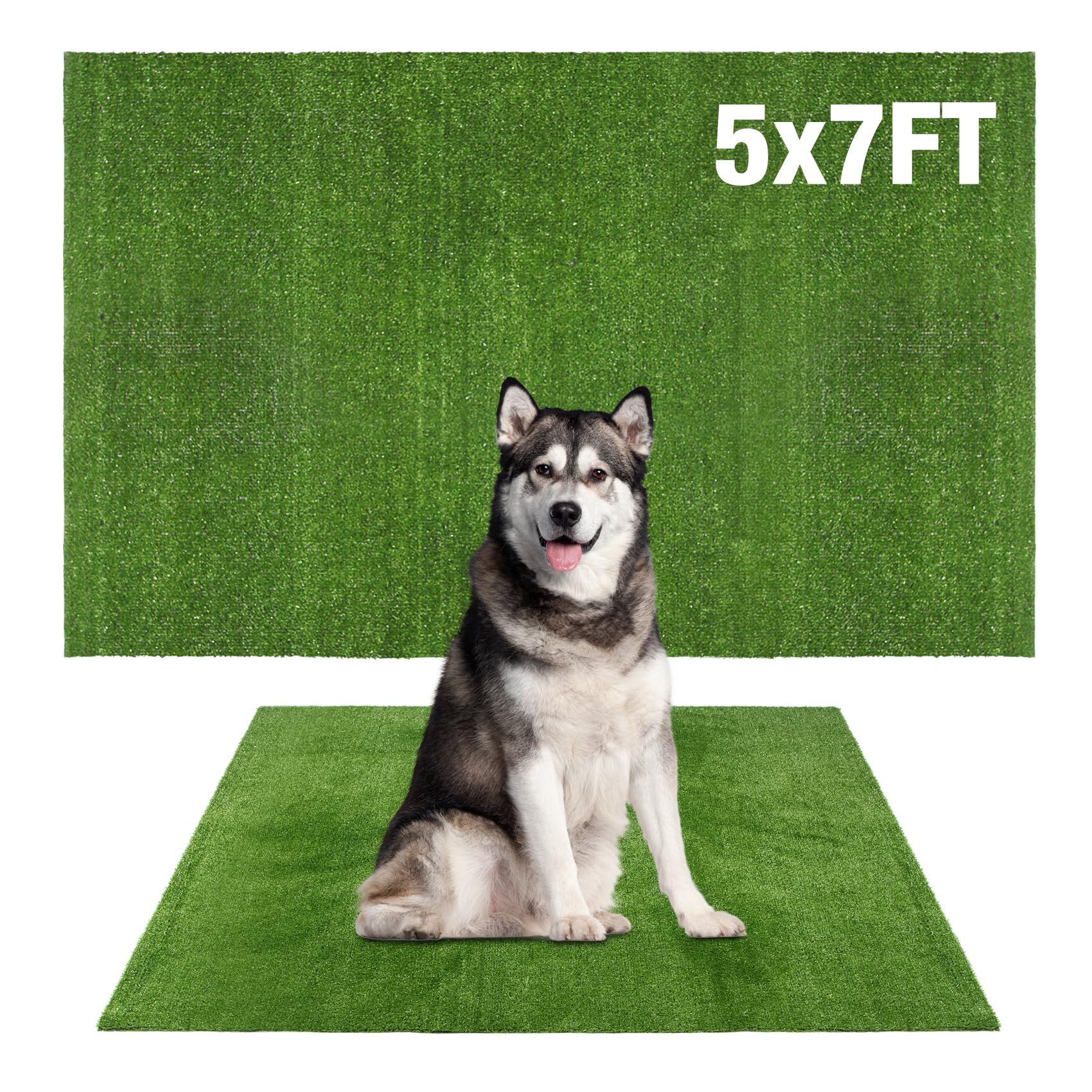Globreen Extre Large Artificial Grass For Dogs Potty, 5Ftx7Ft Fake Grass For Puppy Potty Training, Turf Rug For Pets Kennel Play