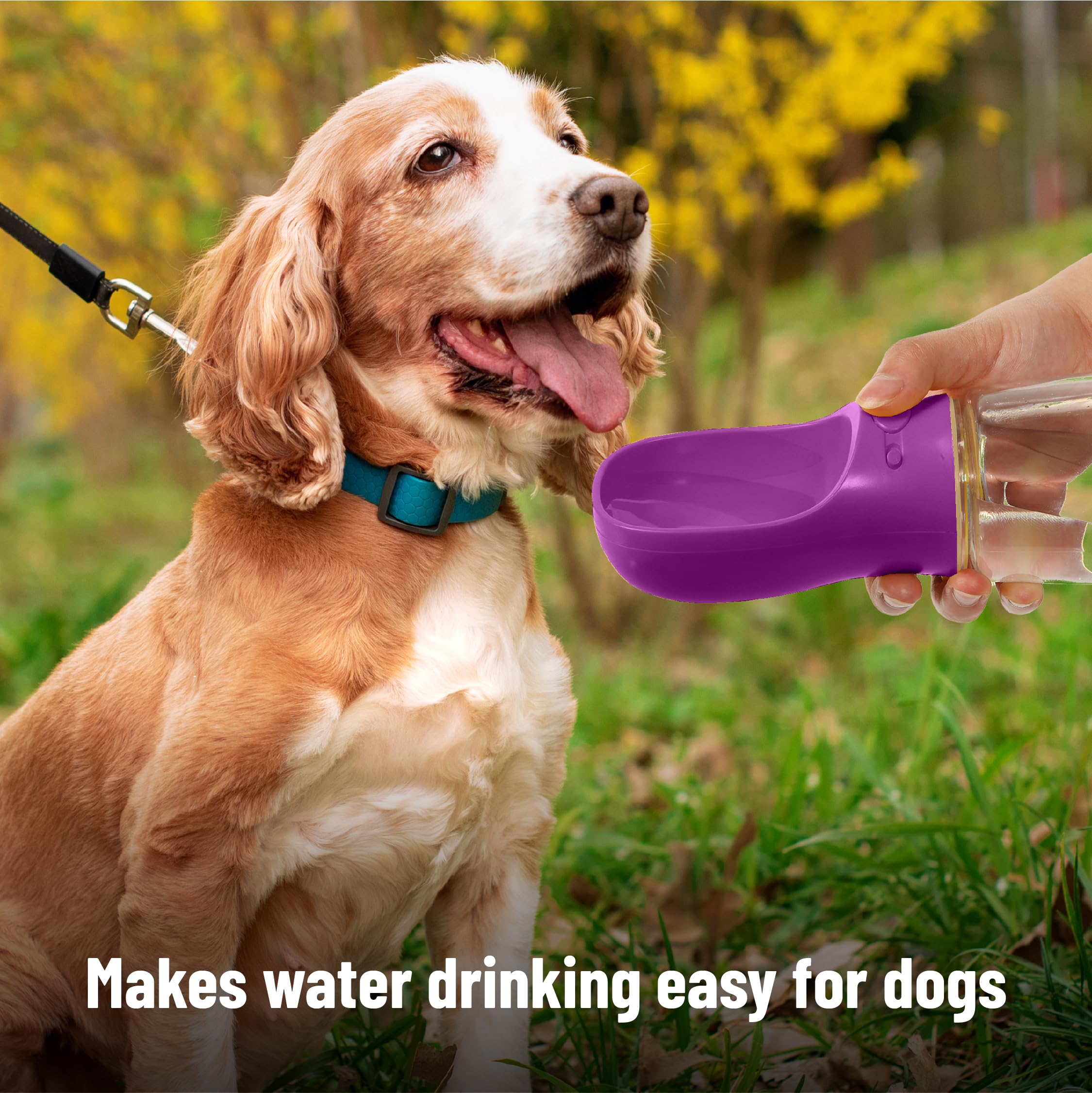 Mr. Pen- Dog Water Bottle, 19 oz, Large, Purple, Portable Dog Water Bottle Dispenser, Dog Travel Water Bottle, Travel Dog Water