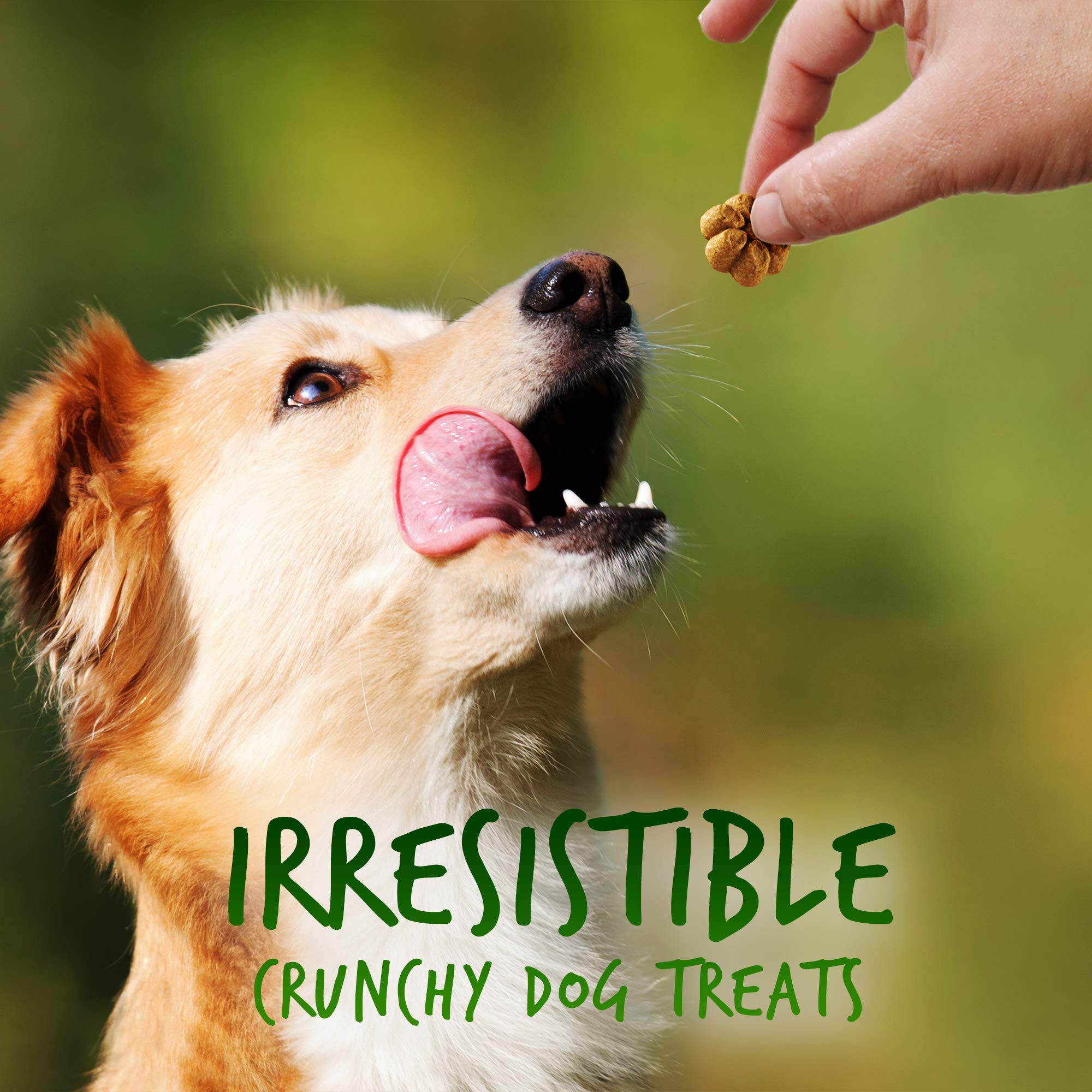 Fruitables Baked Dog Treats ?Pumpkin And Apple ?Dry Biscuit ?12Oz