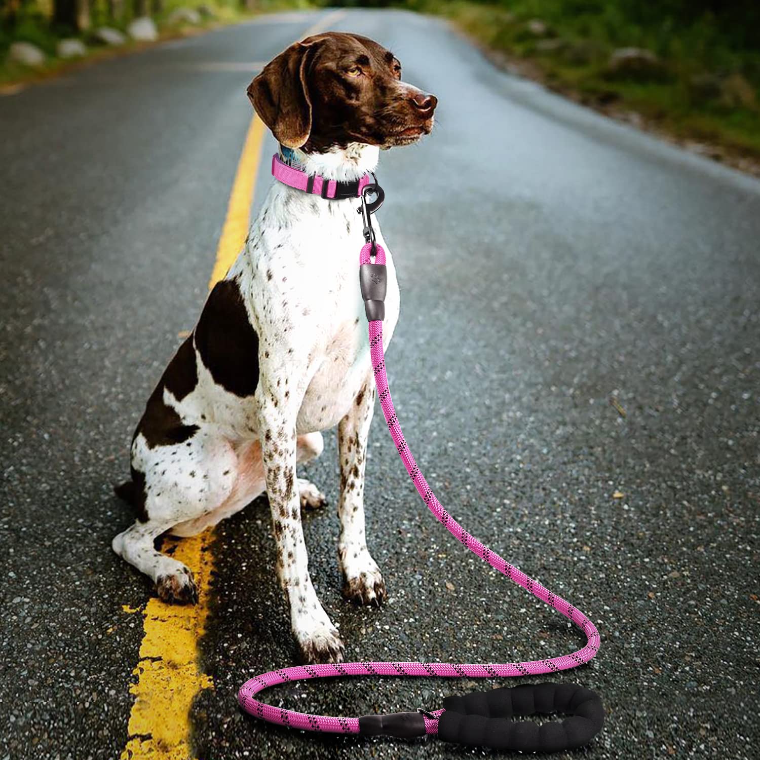 Doyoo Dog Collar And Dog Leash- Soft Neoprene Padded,Reflective And Adjustable - Nylon Dog Collars With Quick Release Buckle For