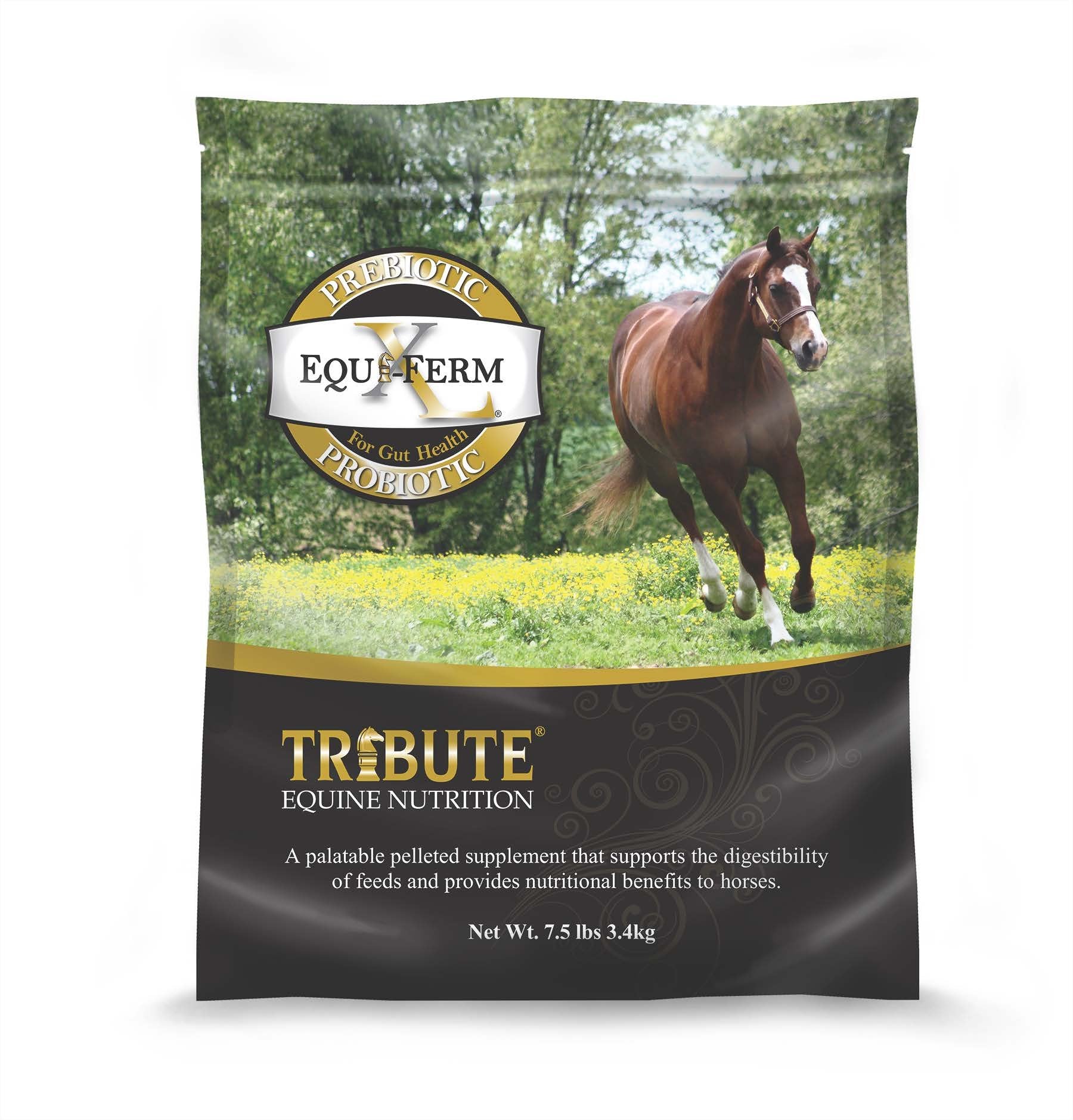 Kalmbach Feeds Equiferm XL Prebiotic and Probiotic for Horse, 7.5 lb