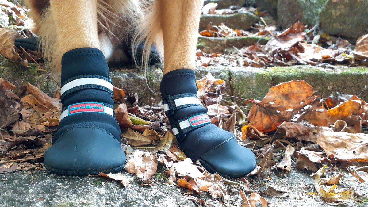 All Weather Neoprene Paw Protector Dog Boots With Reflective Straps In 5 Sizes! (Black Xl)