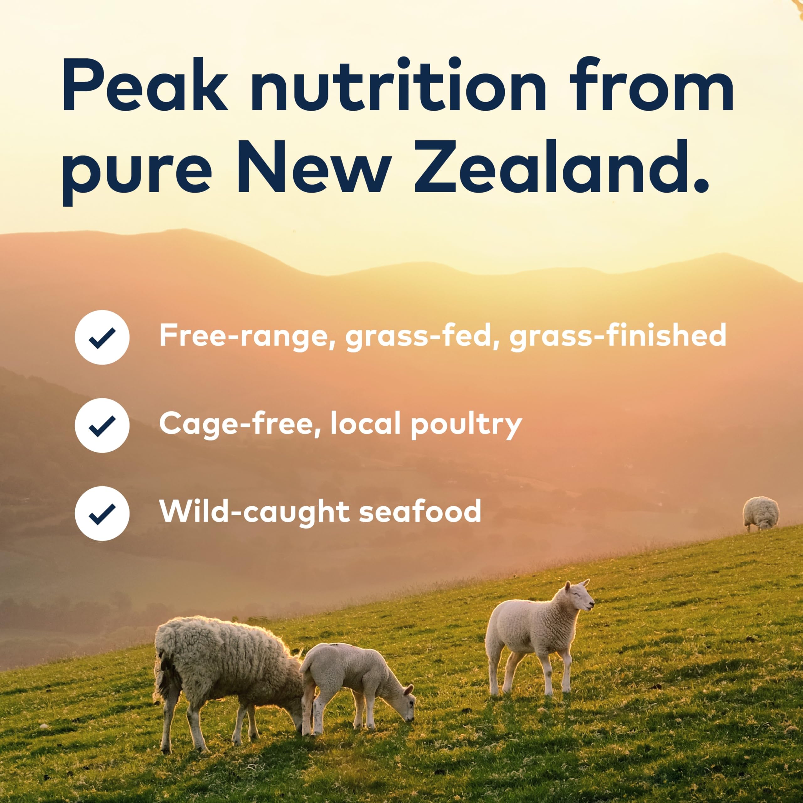 ZIWI Peak Steam & Dried Dog Food - Cage-Free Chicken w/Fruits - High Protein, Low Carb, All Breeds & Lifestages, for Digestive H