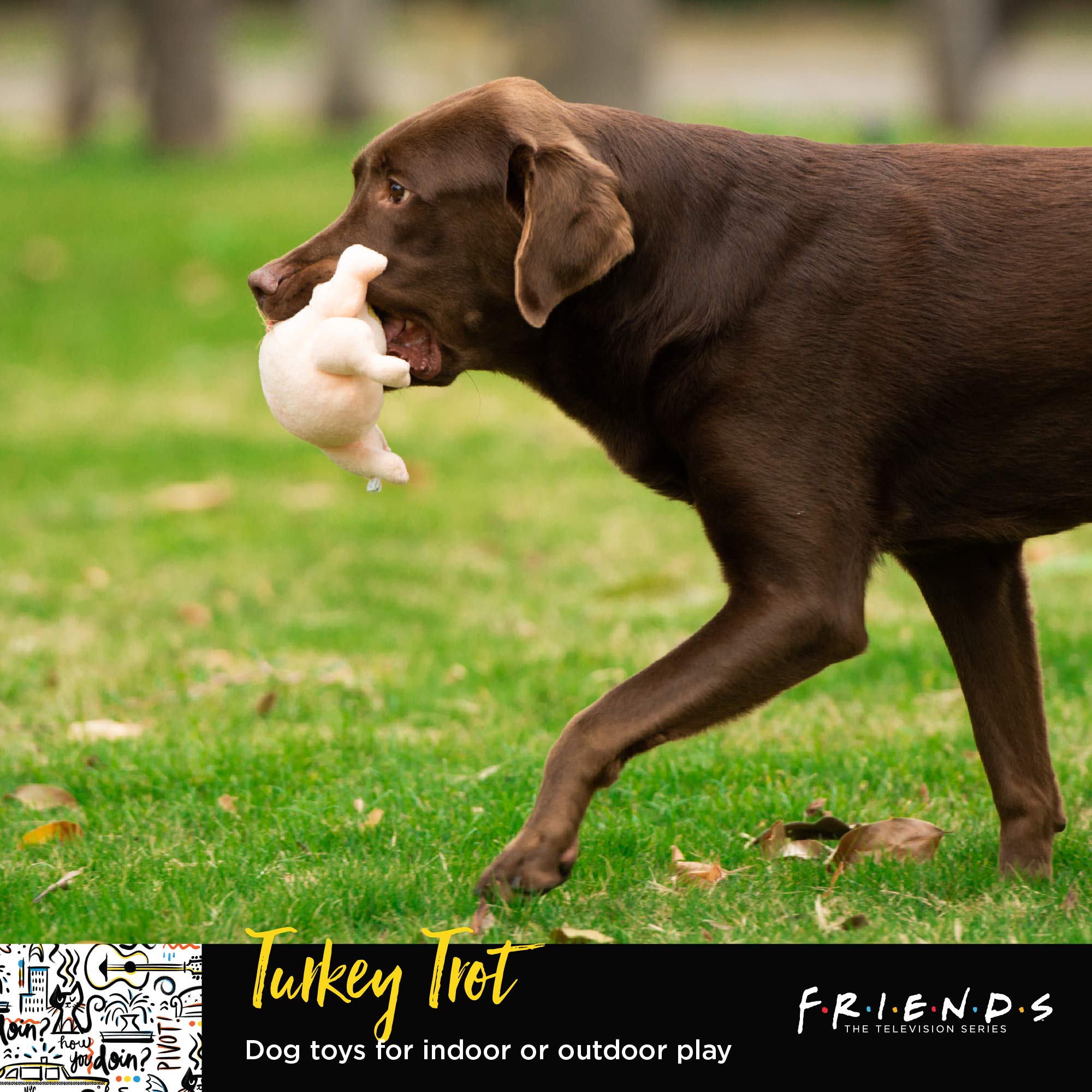 Friends The Tv Show Turkey Head Plush Dog Toy | Soft Cute Squeaky Toy For All Dogs | Stuffed Animal Dog Toys With Squeaker For A
