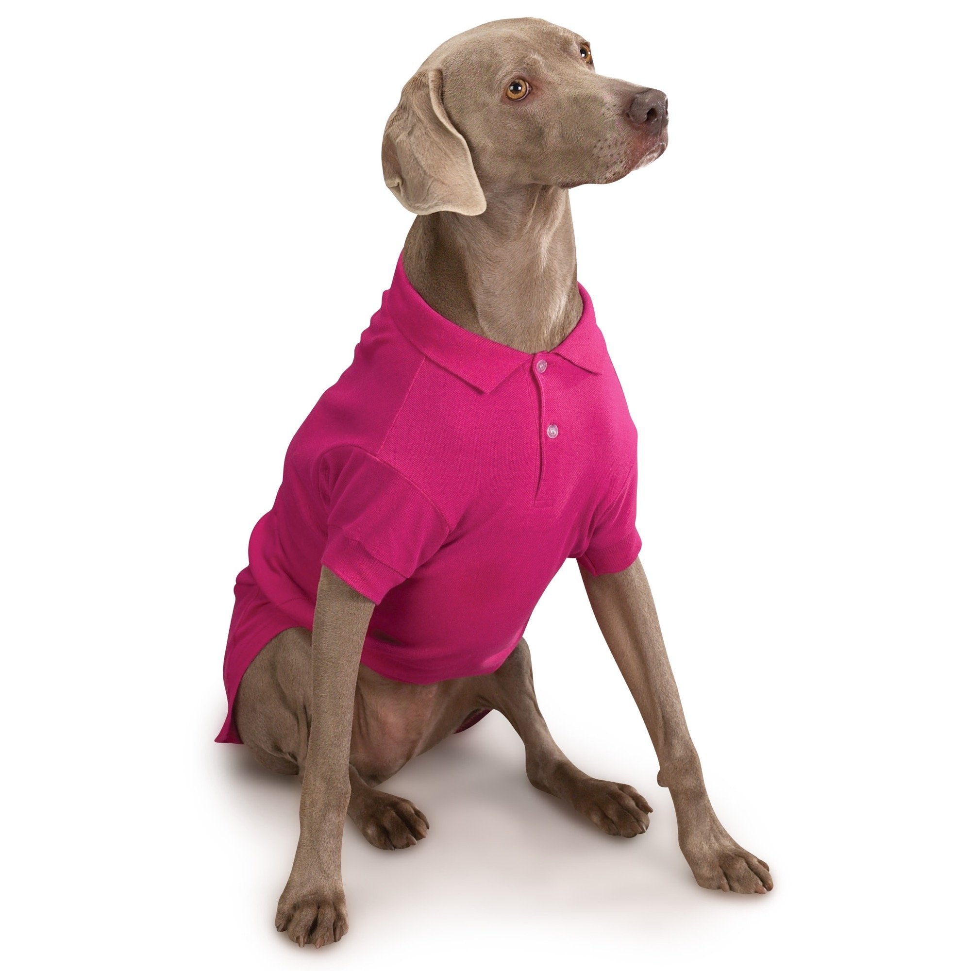 Zack & Zoey Cotton Polo Shirt For Dogs, 20' Large, Raspberry Sorbet