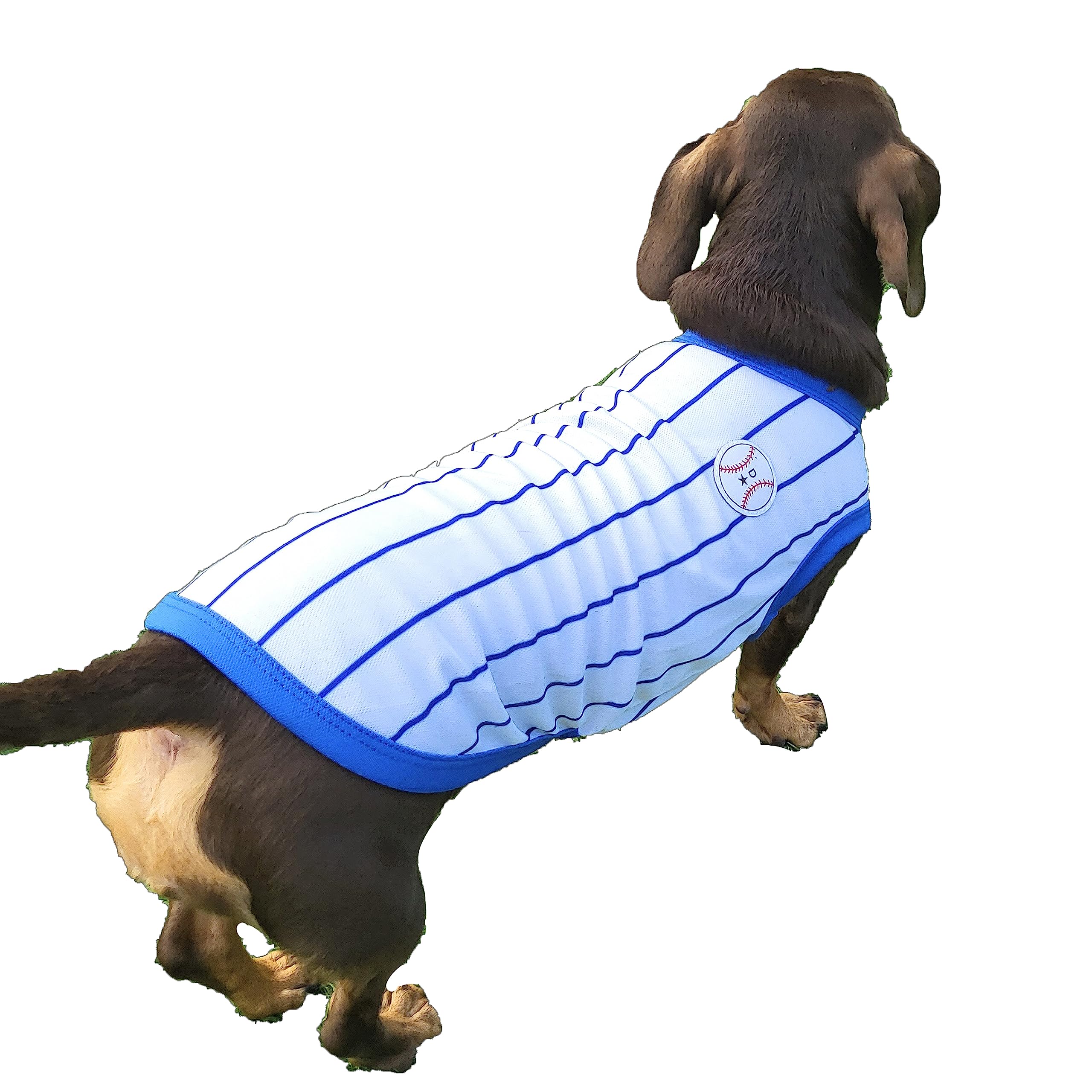 D Doggy Star Dachshund Clothes For Dogs Baseball Mini And Adults T Shirts (L,Baseball Blue)