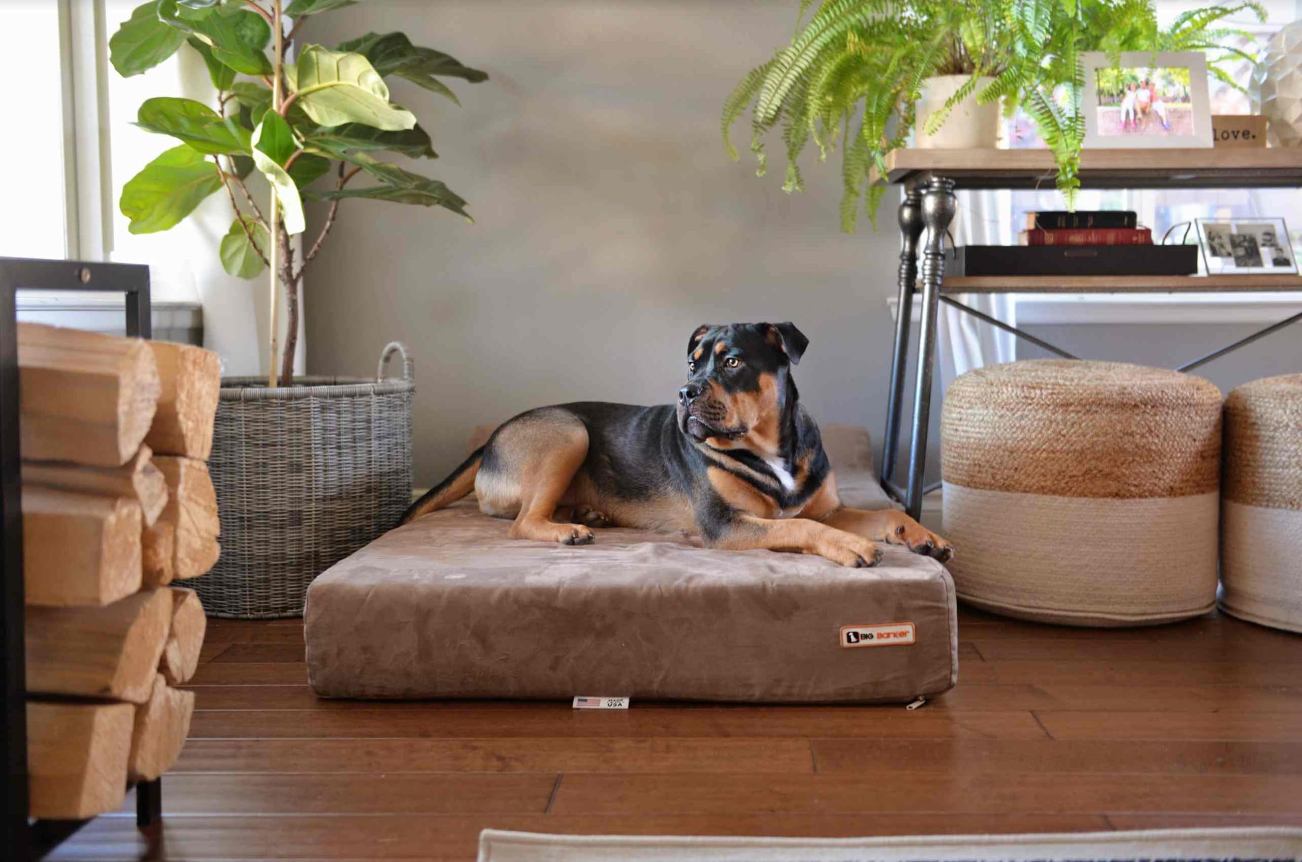 Barker Beds Headrest Extra Large Dog Bed (Xl, Khaki) - 7'' Thick Soft & Comfortable Orthopedic Cushion - Xl Dog Bed - Durable &