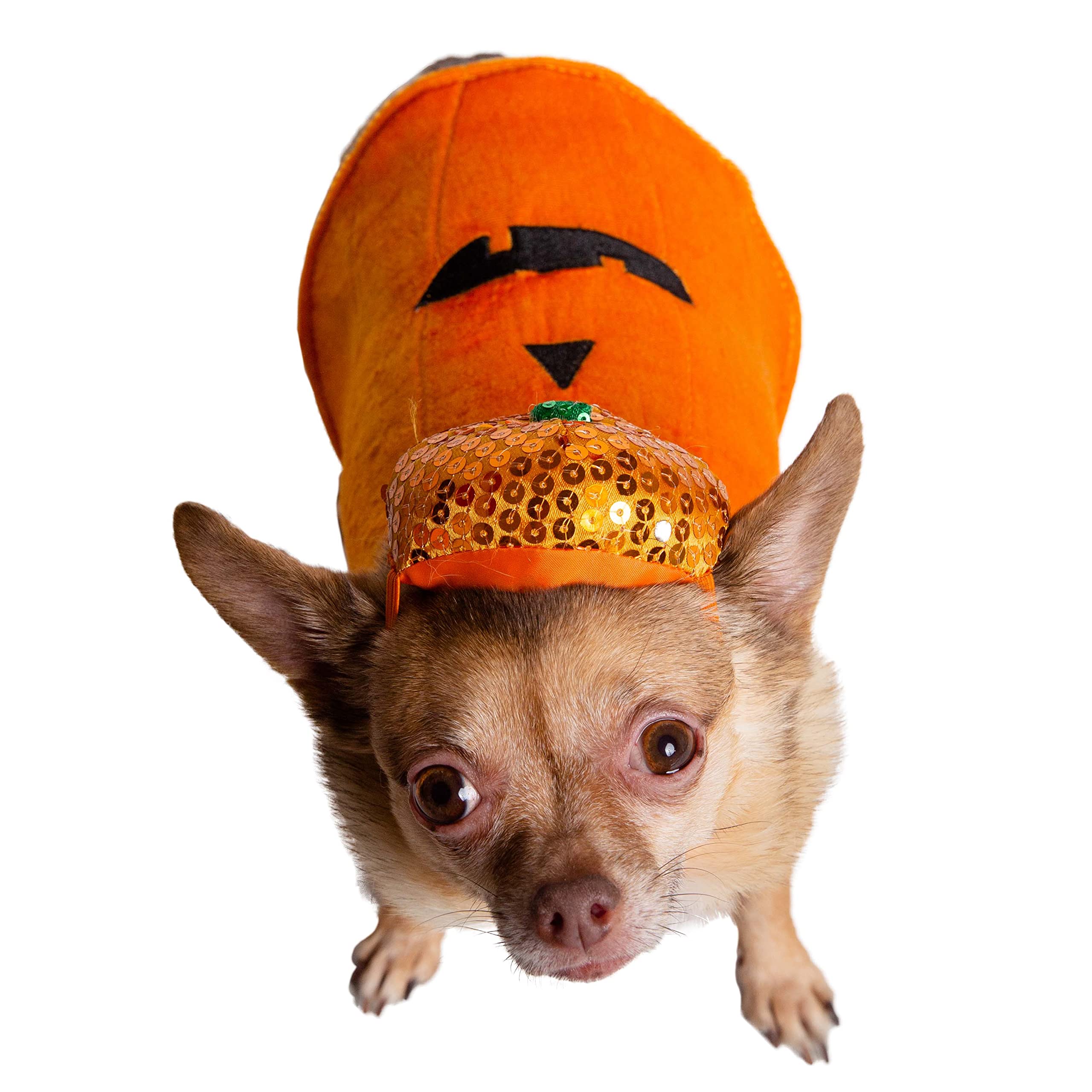 Pet Krewe Small Dog Pumpkin Outfit - Pet Pumpkin Costume - Fits Small, Medium, Large And Extra Large Dogs, Cats - Perfect For Halloween, Christmas Holiday, Parties, Photoshoots, Gifts For Dog Lovers