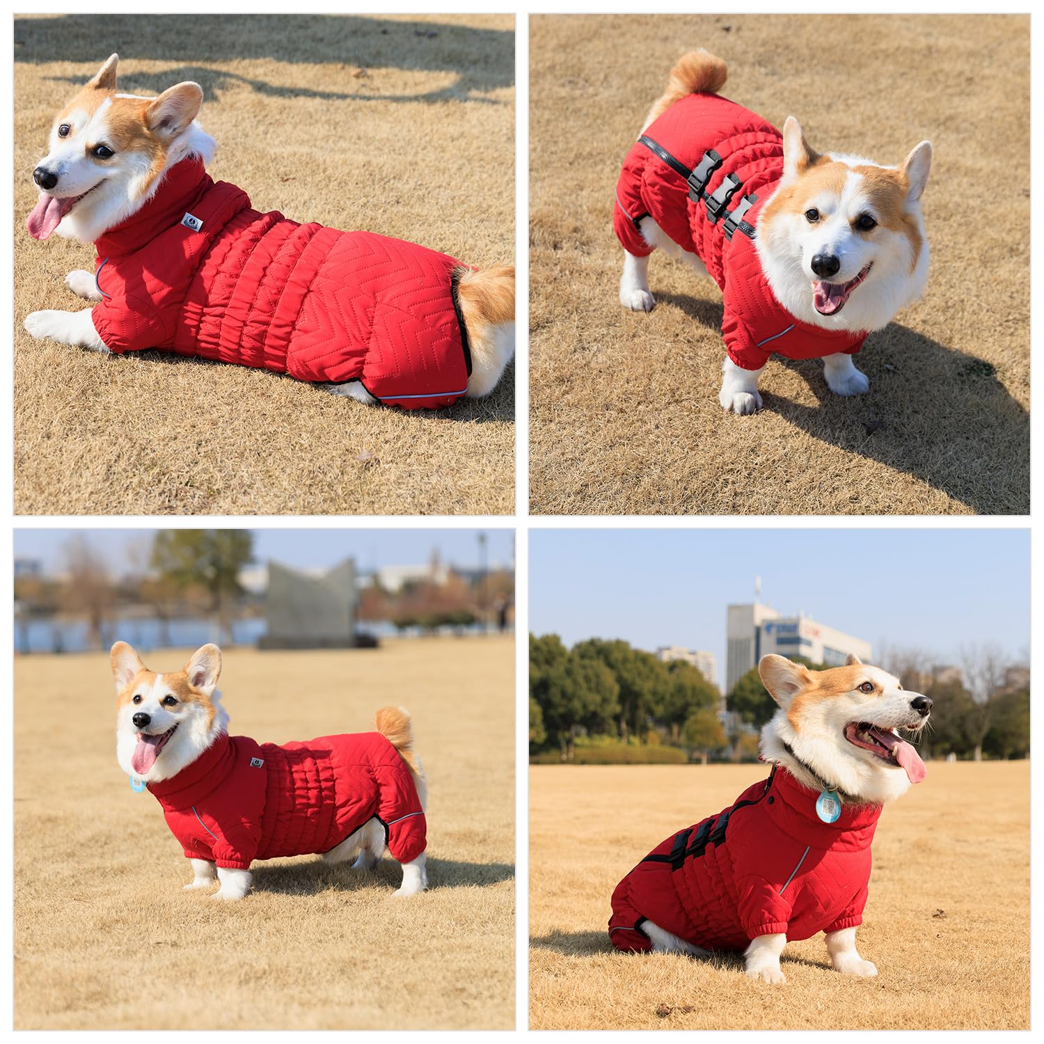 Warm Dog Coat Double Layers Dog Vest, 4 Legs Covered Windproof Waterproof Reflective Red D-S