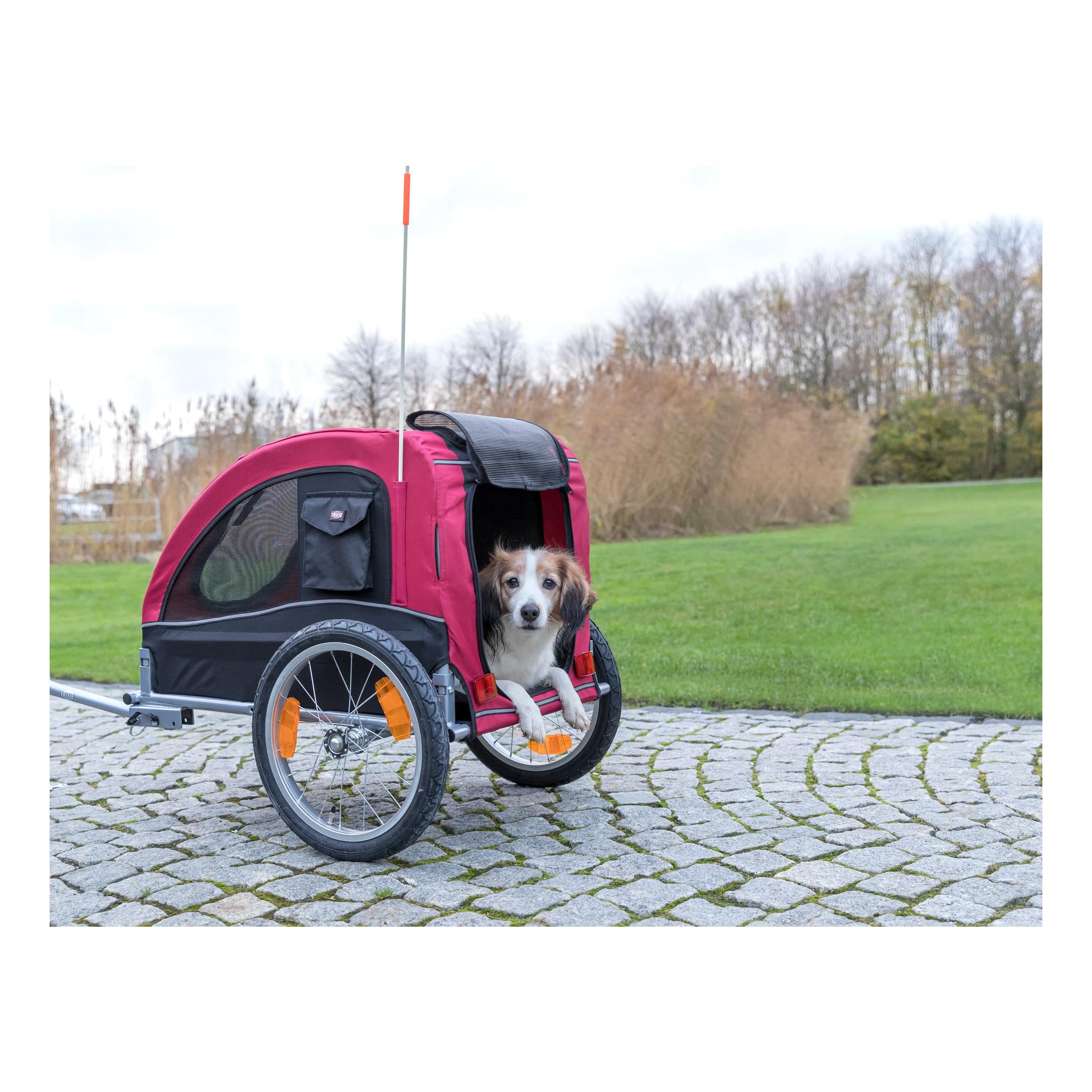 Trixie Convertible Dog Bike Trailer And Pet Stroller For Small To Medium Dogs Up To 48 Lbs, Quick Set-Up And Fold Down, Red