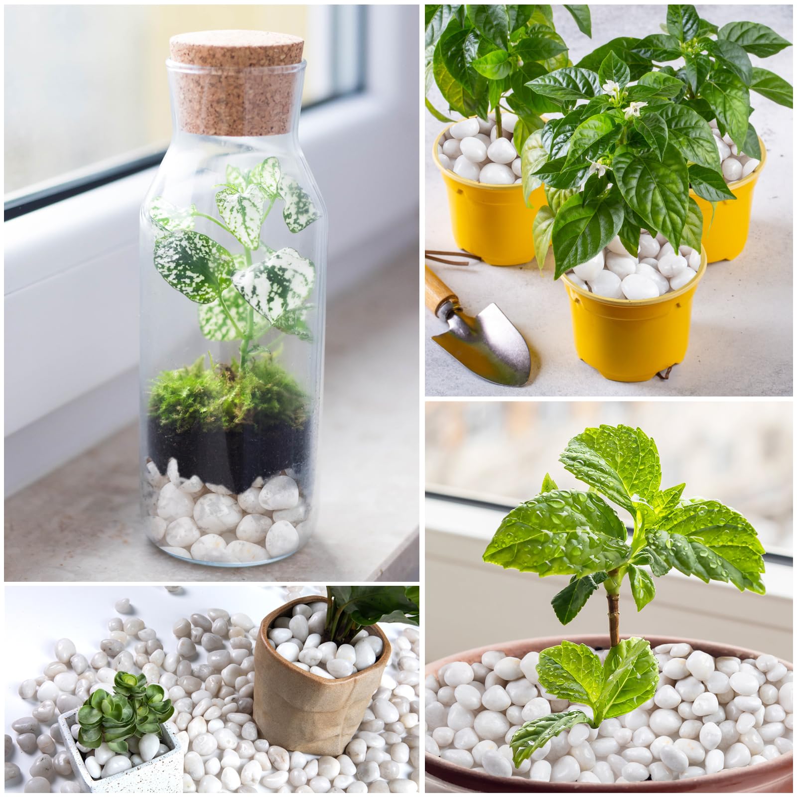 Lechloris 20lb White River Rock- High Polished Pebbles for Indoor Plants- Decorative Stones for Aquarium Fish Tank - White Rocks