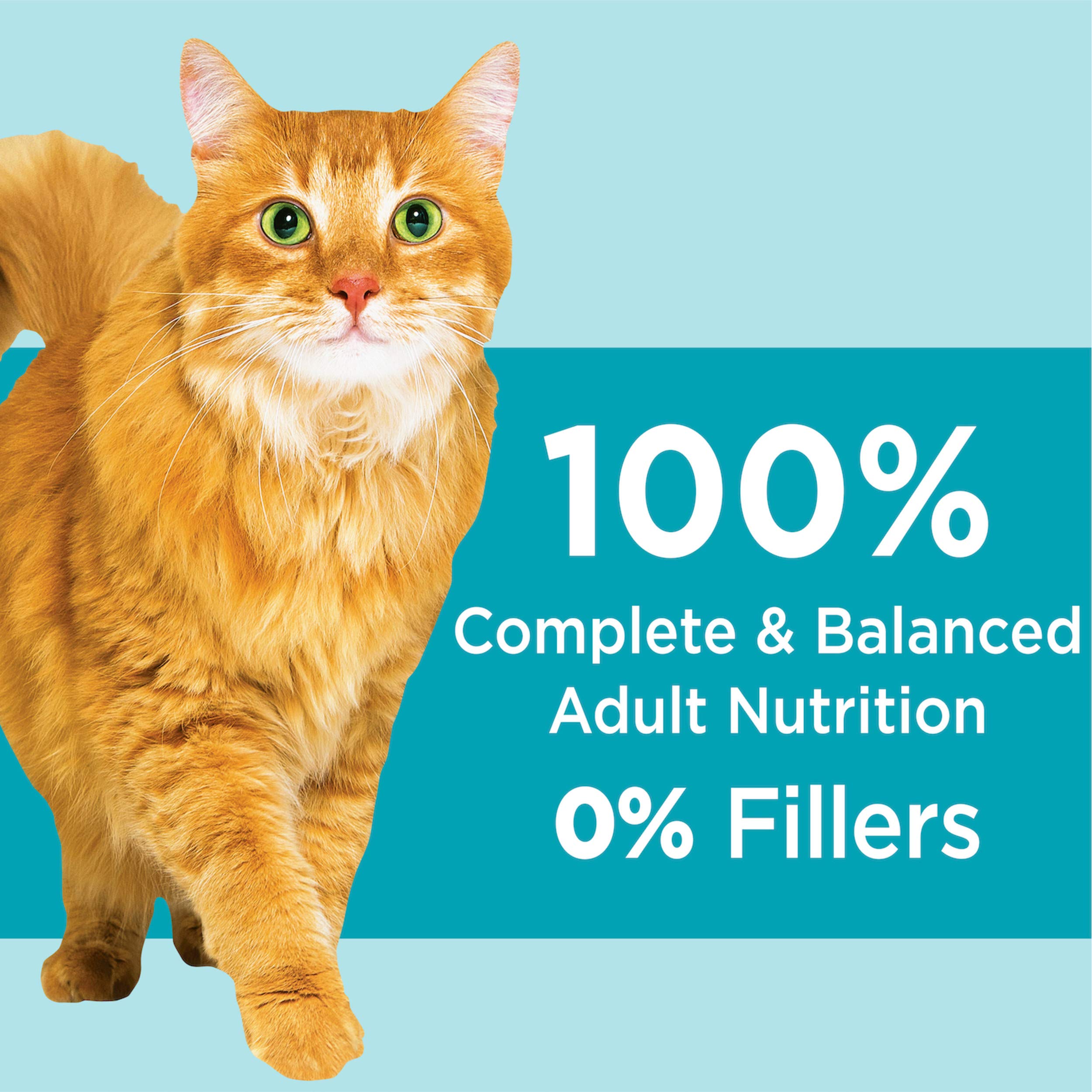 IAMS Proactive Health Indoor Weight & Hairball Care Adult Dry Cat Food with Chicken & Turkey, 3.5 lb. Bag