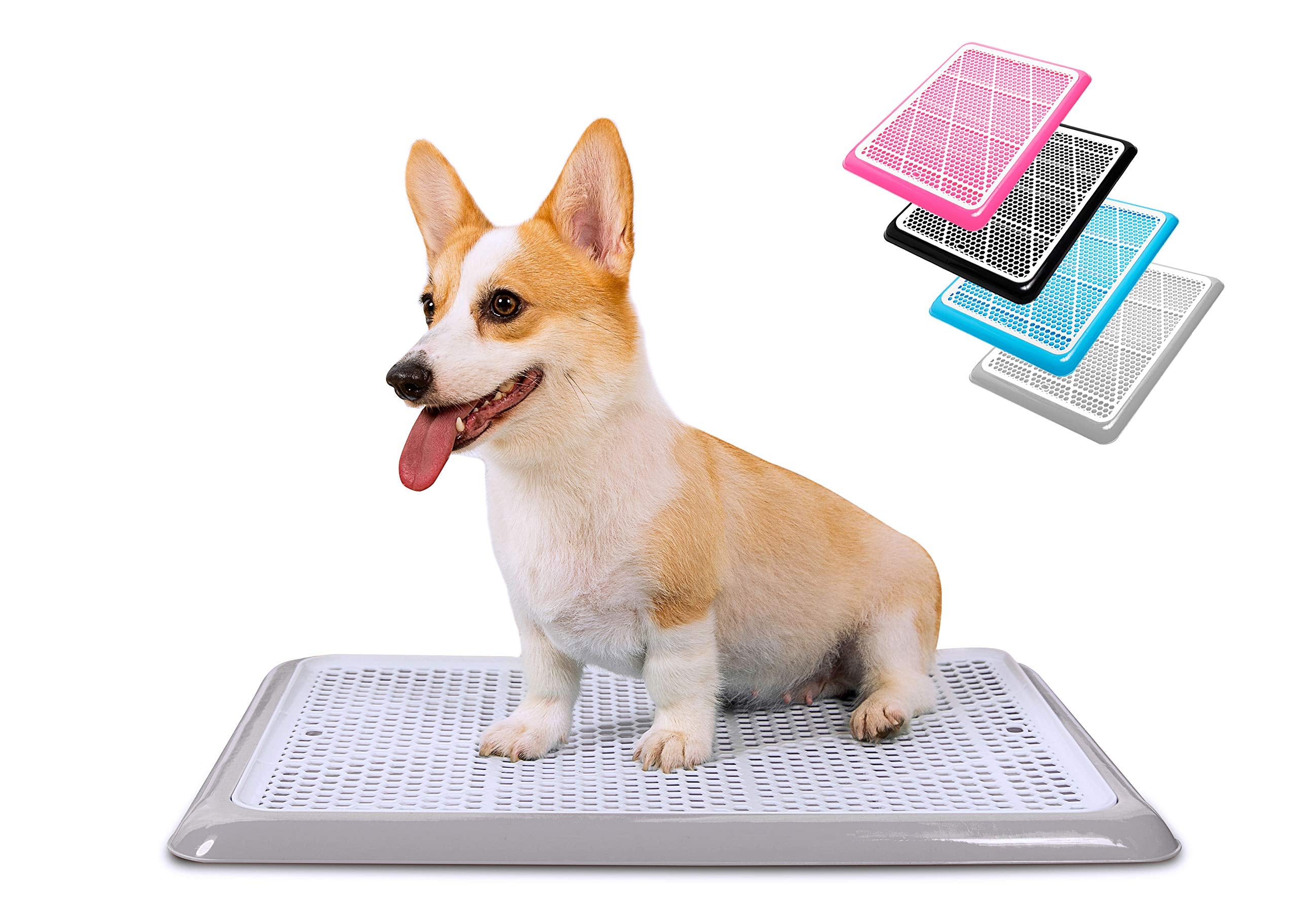 Pet Awesome Dog Potty Tray/Puppy Pee Pad Holder 25   X20    Indoor Wee Training For Small And Medium Dogs