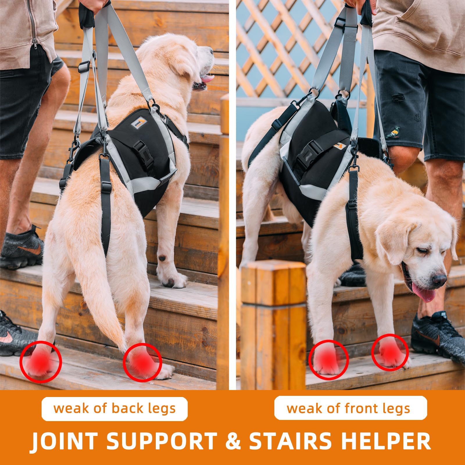 Dog Lift Harness for Large Dogs,Full Body Dog Sling Carrier with Handle,Up to 100 lbs,for Up Stairs/Back Legs Support/Dogs Joint