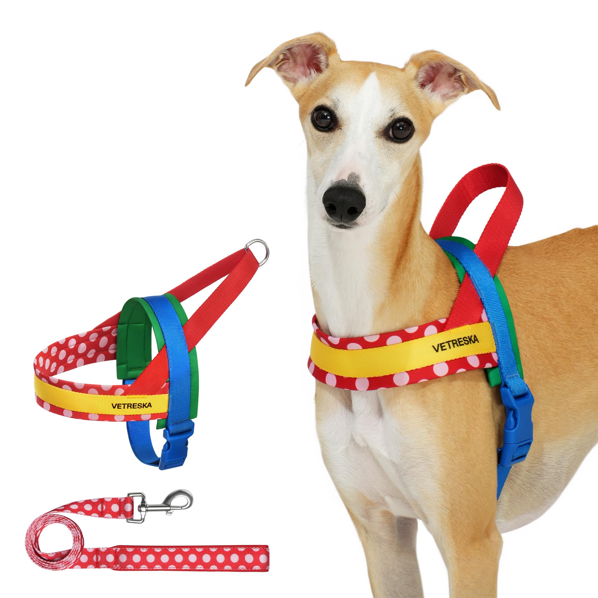 Vetreska Moma Dog Harness For Medium Large Dogs, Easy Walk Dog Harness And Leash Set, No Pull Dog Vest Harness For Walking And T