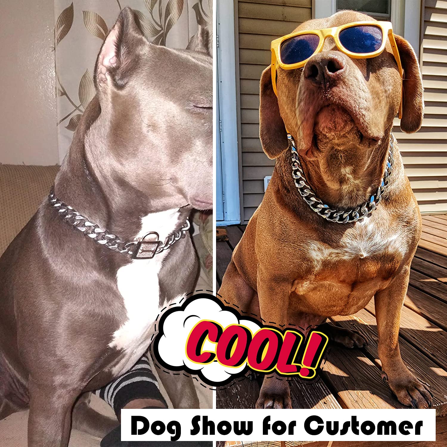 Pradog Dog Collar With Zirconia Locking 19Mm Hand Polished Stainless Steel Metal Puppy Collar Luxury Dog Bling Necklace Small Medium (19Mm, 22')