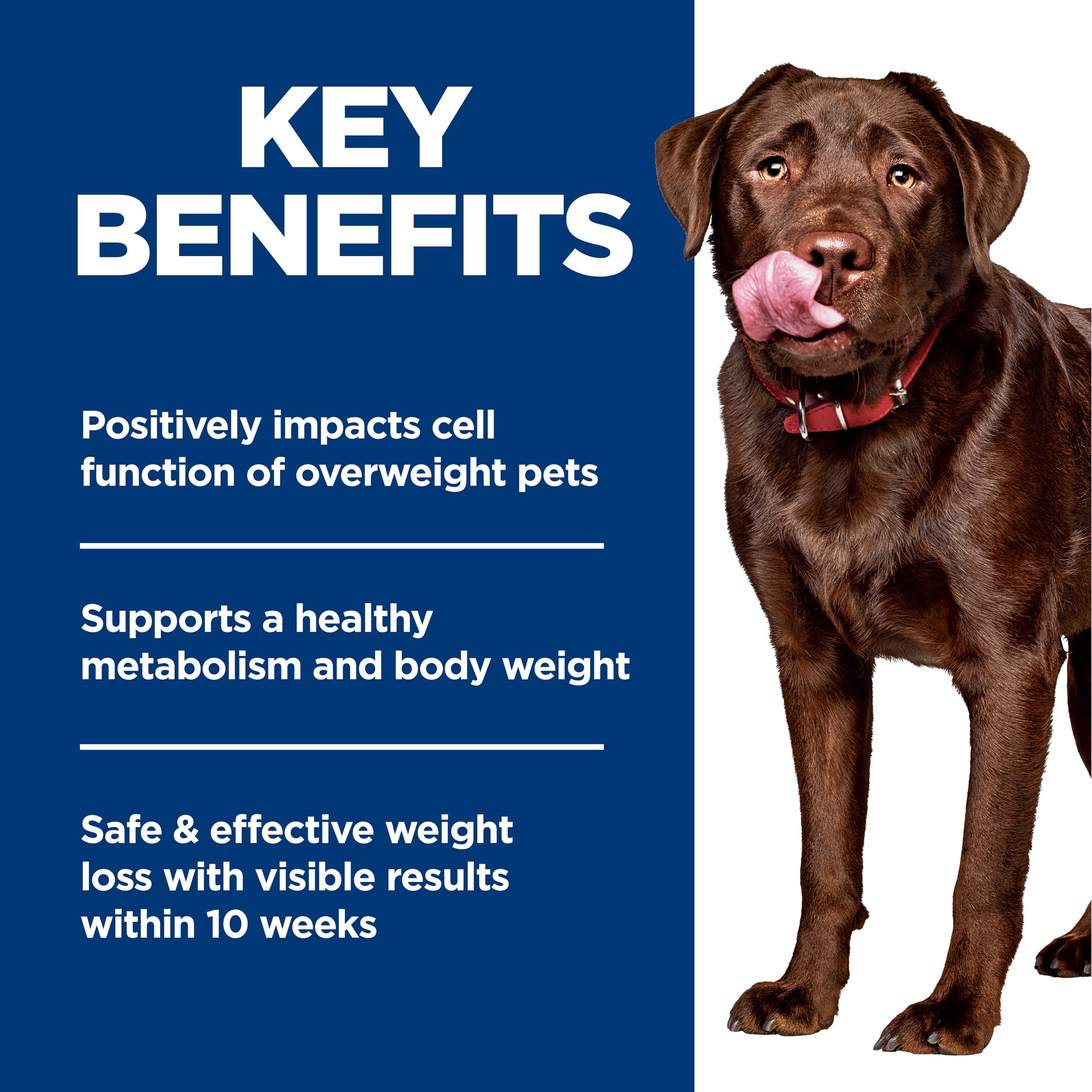 Hills Science Diet Perfect Weight Large Breed Adult Dry Dog Food 1-5, Quality Protein for Weight Management Support, Chicken Re