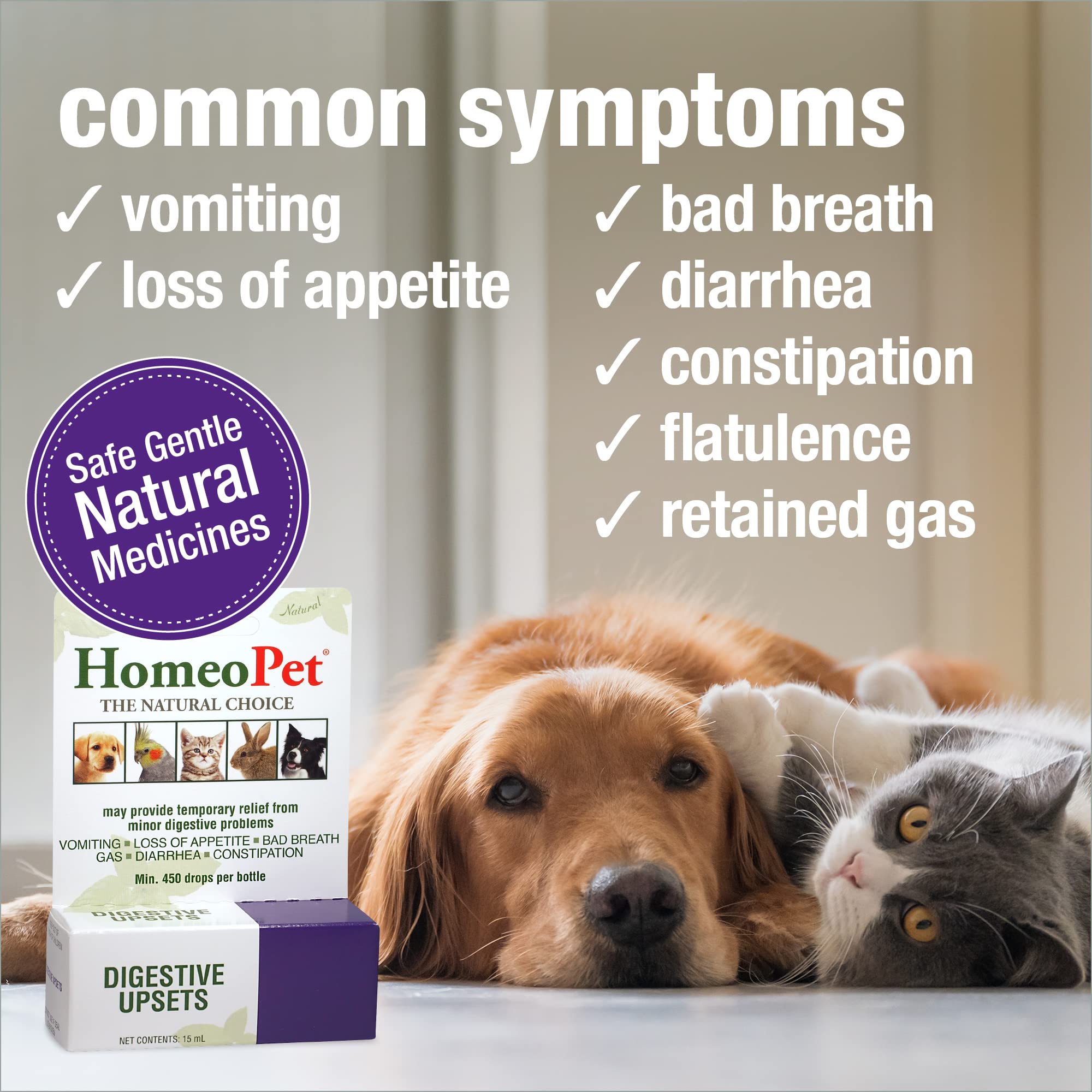 HomeoPet Digestive Upsets, Safe, Gentle, and Natural Cat and Dog Digestive Support, 15 Milliliters