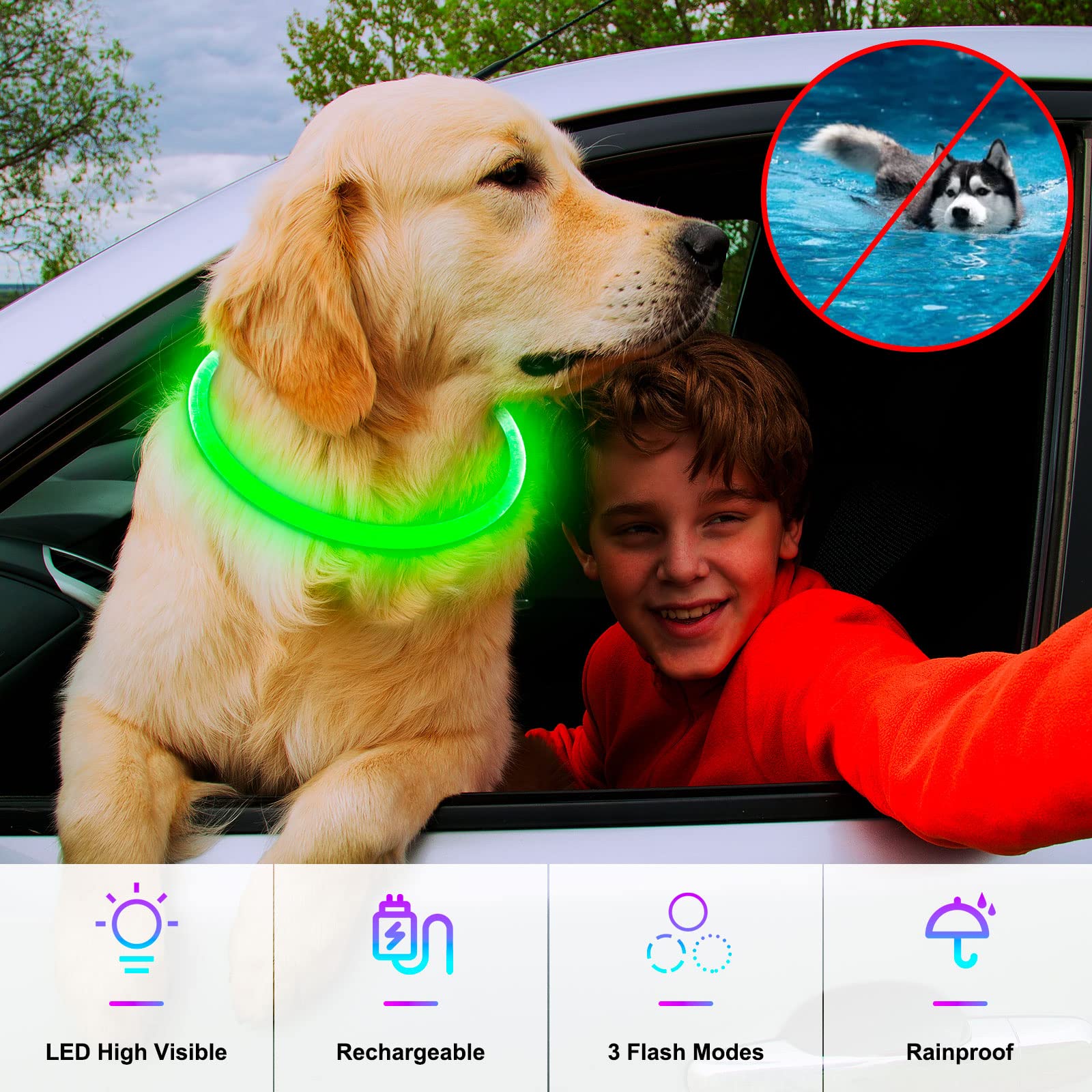 Light Up Dog Collars, Single-Color Usb Rechargeable Dlitk Led Dog Collar 1 Count, Tpu Cuttable Size Glow Collar For Dogs, Dog Collar Light For Large Medium Small Dogs Walking At Night (Green)