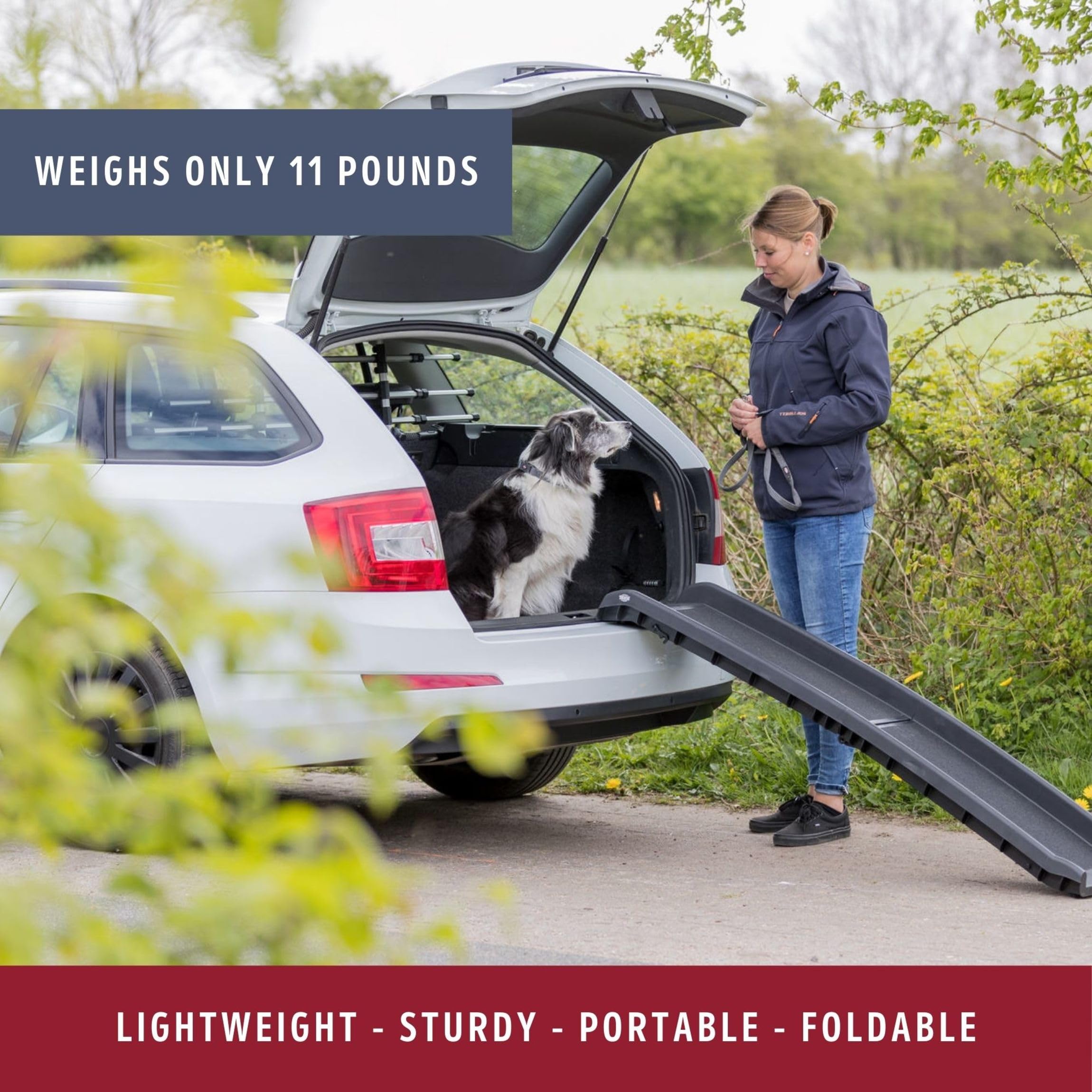 Trixie 62-In Pet Ramp, Folding Dog Ramp, Portable Dog Ramp For Cars, Trucks, And Suv, Non-Skid Surface, Black