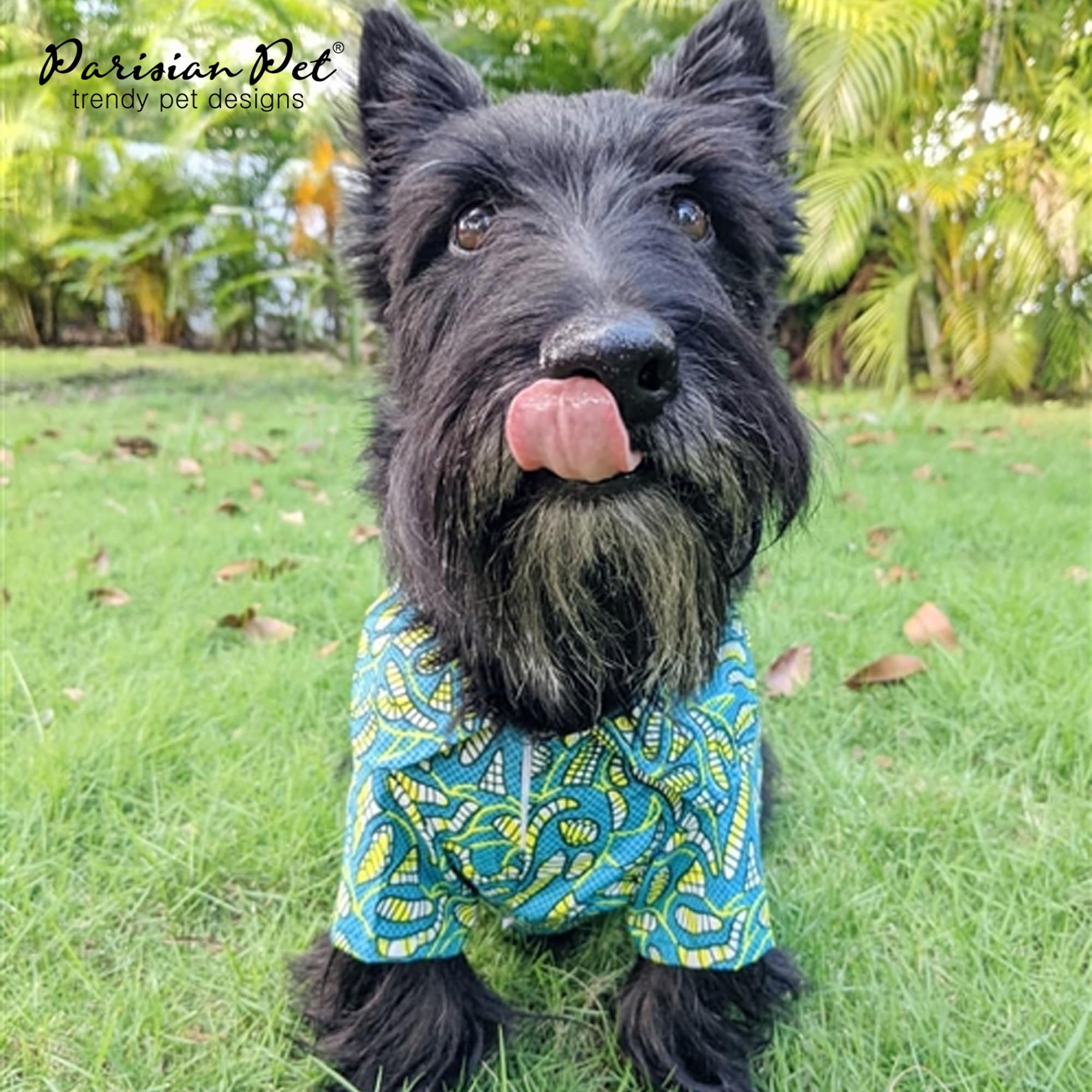 Parisian Pet Shirt - Tribal Camp Beach Outfit - 100% Cotton Summer Clothes - Stylish Dog Costume - Breathable Cool Pet Clothing