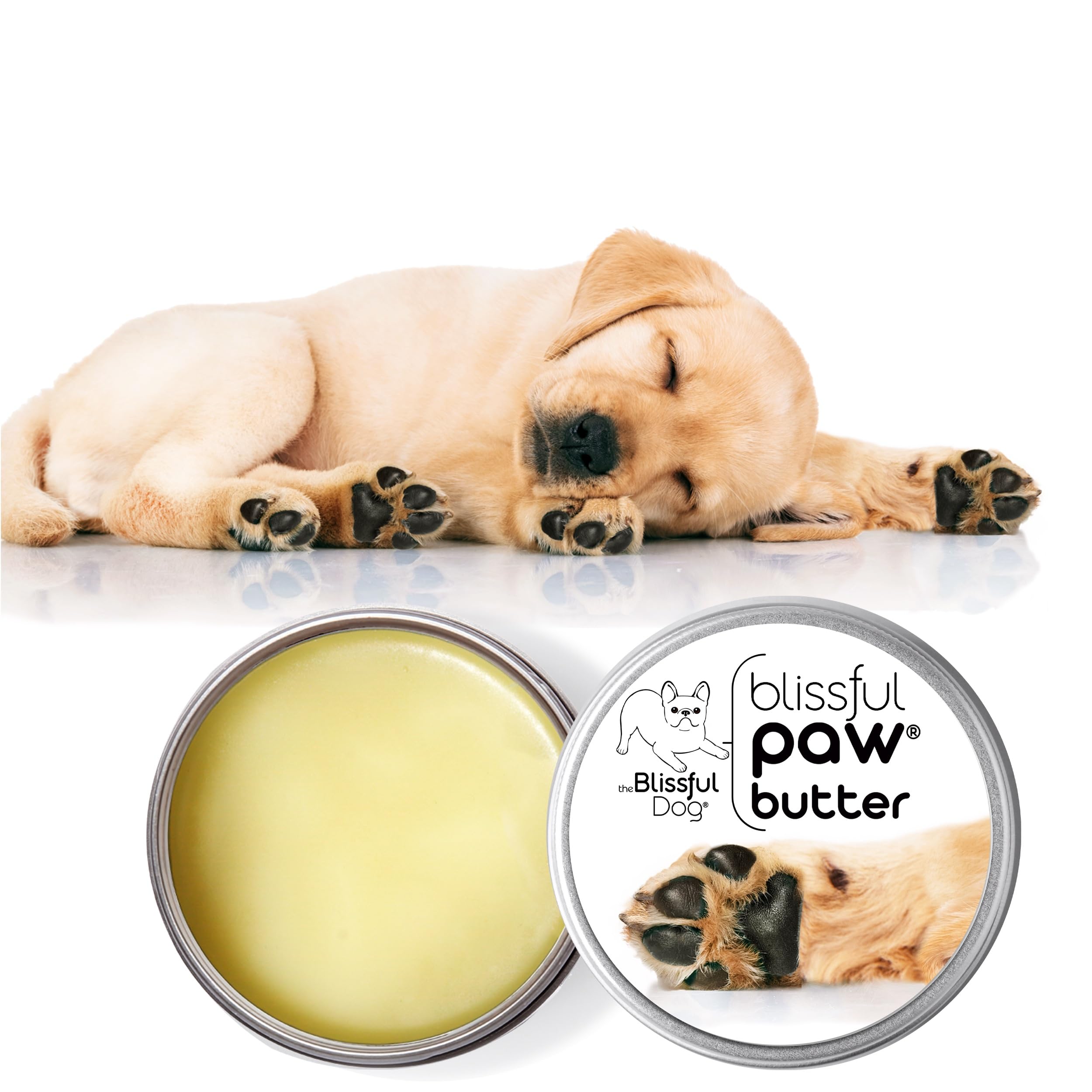 The Blissful Dog Paw Butter, Moisturizer for Dry Paw Pads, Softens and Protects a Rough Paw in Winter, Versatile, Lick-Safe Dog