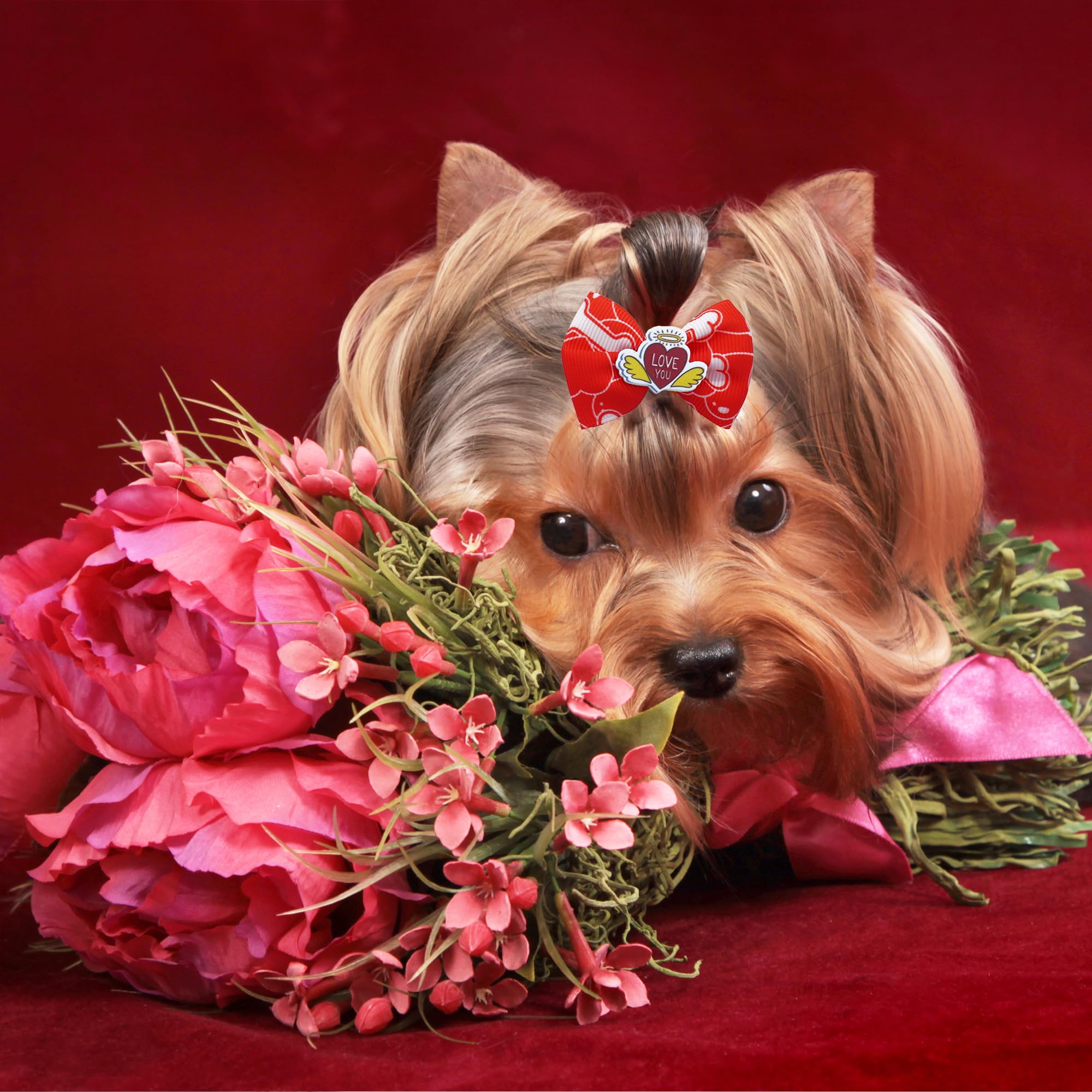 Jpgdn 50Pcs/25Pairs Valentine Dog Hair Bows With Rubber Bands Bowknot Top Knot Elastic Pink Red For Dog Doggy Puppy Poodle Groom