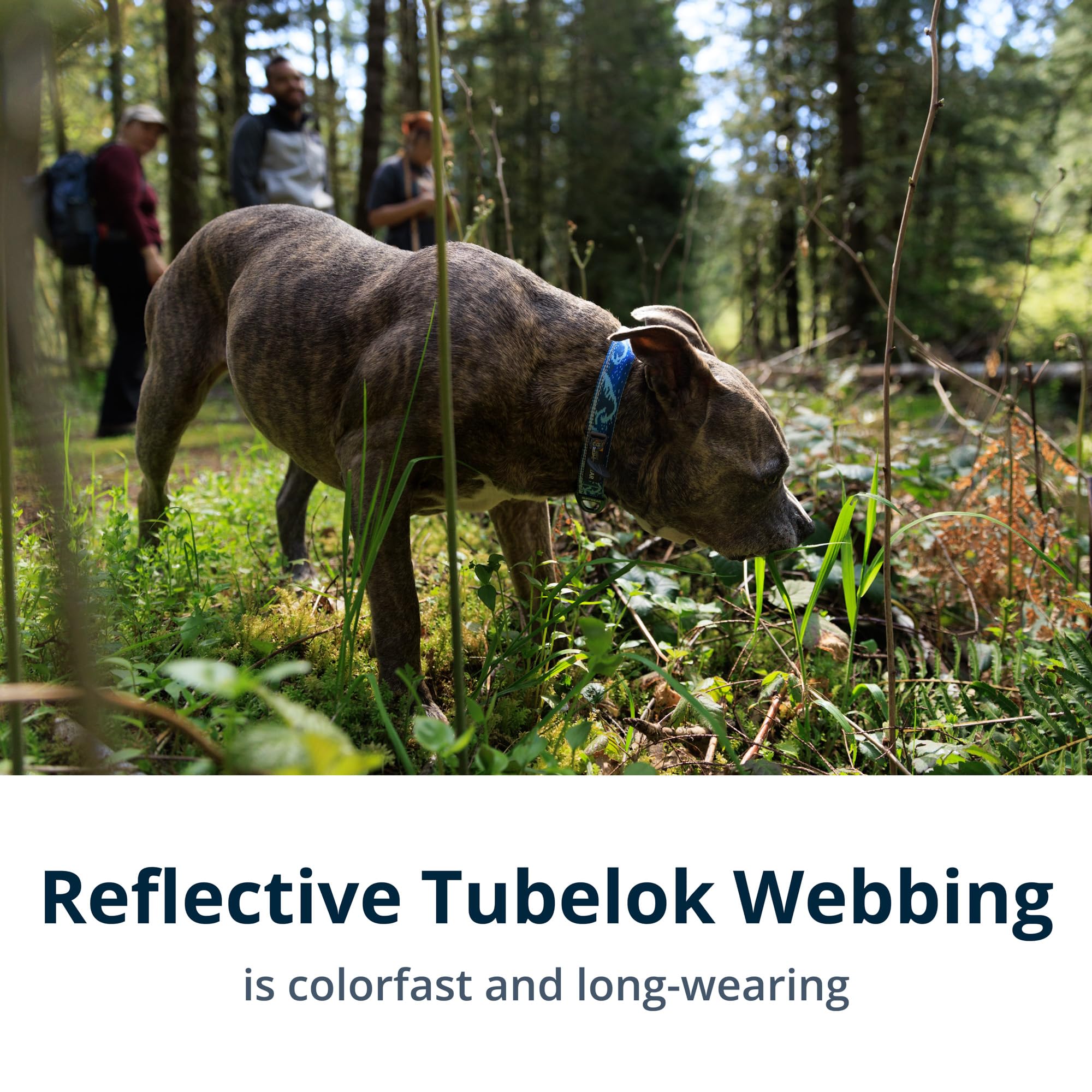 Ruffwear, Crag Dog Collar, Reflective And Comfortable Collar For Everyday Use, Grassy Oxbow, 20''-26''