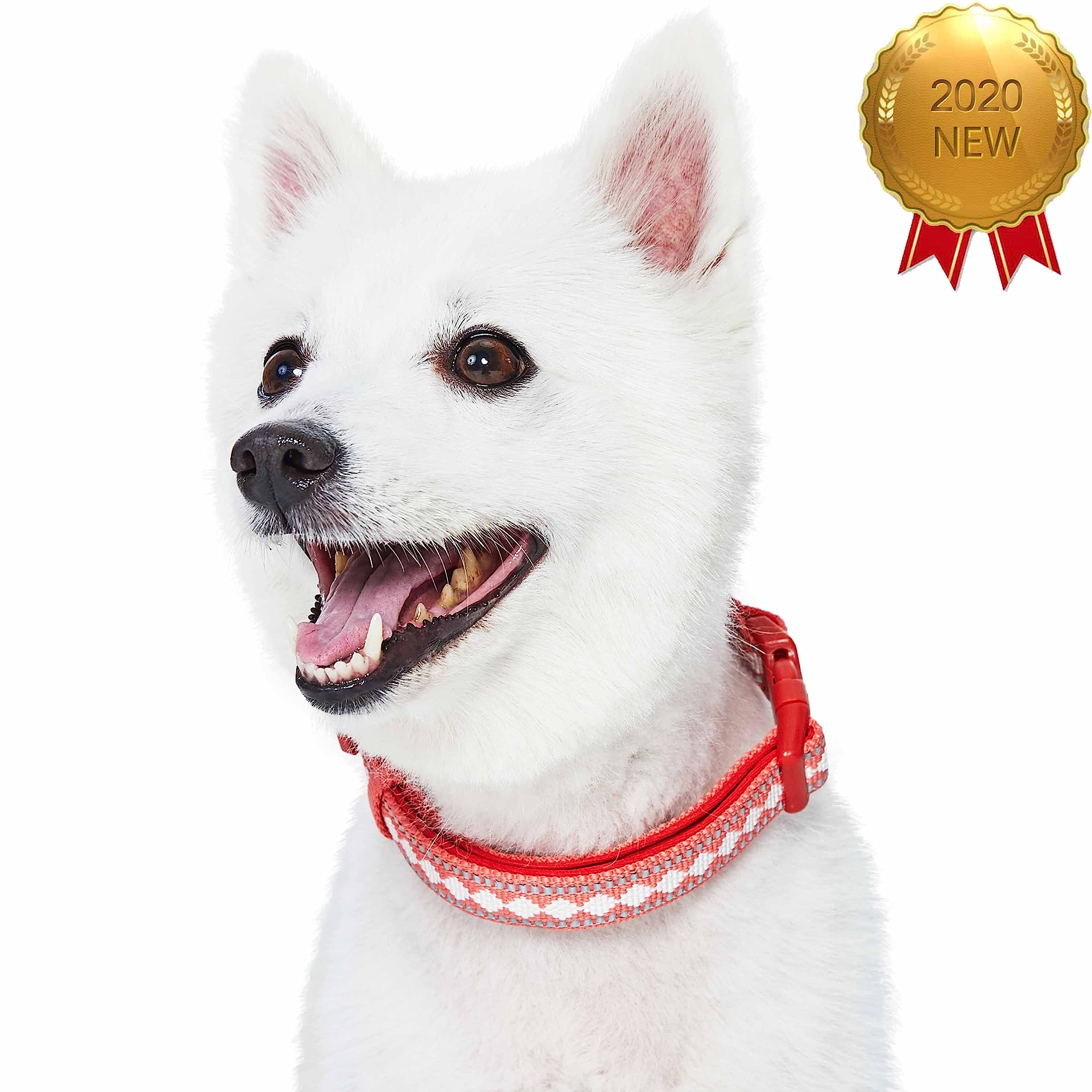 Blueberry Pet 3 Colors 3M Reflective Jacquard Neoprene Padded Adjustable Dog Collar, Coral, Small, Neck 12''-16''