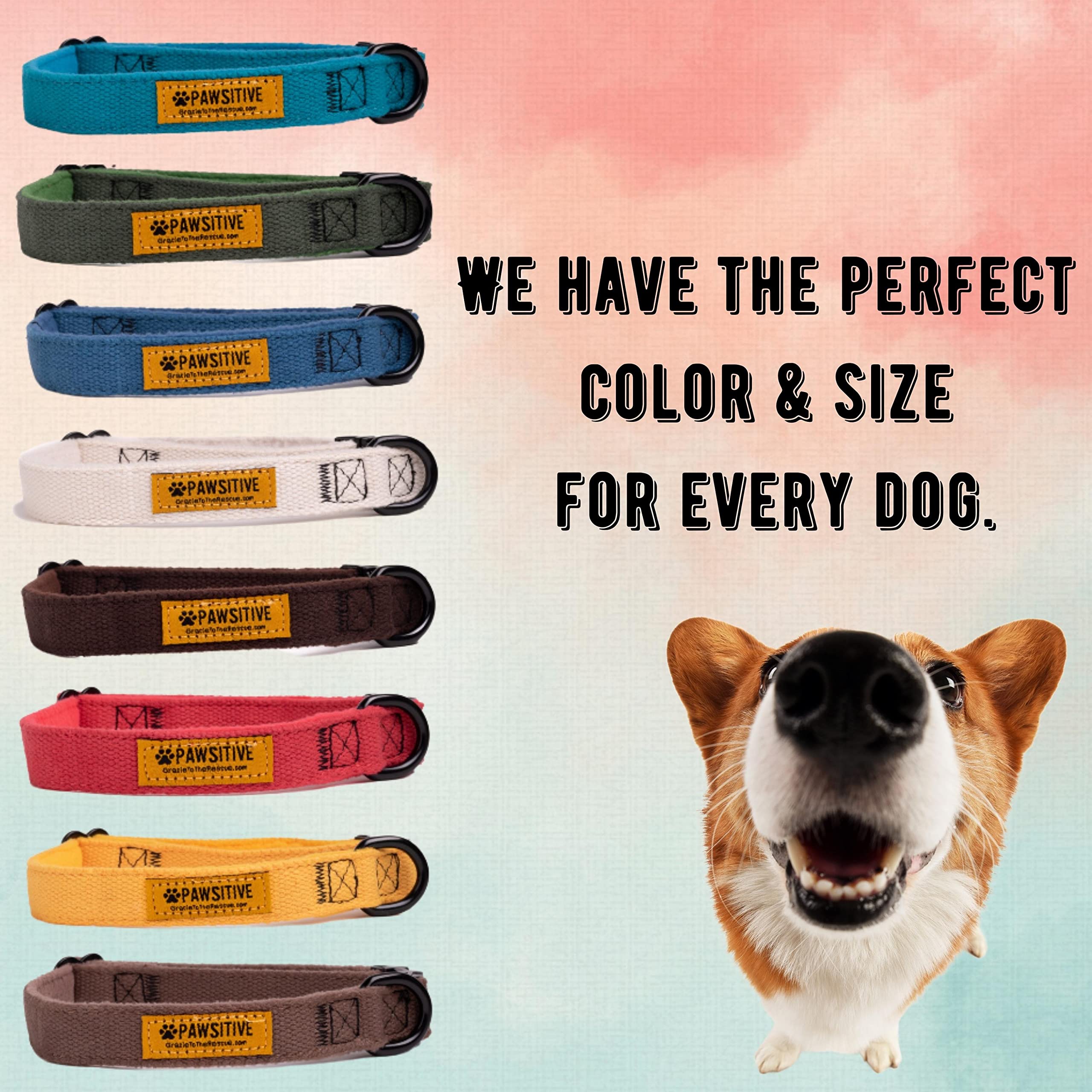 Gracie To The Rescue Pawsitive Hemp Dog Collar - Medium Yellow - Super Soft Hypoallergenic Lining for Small, Medium, and Large Dogs