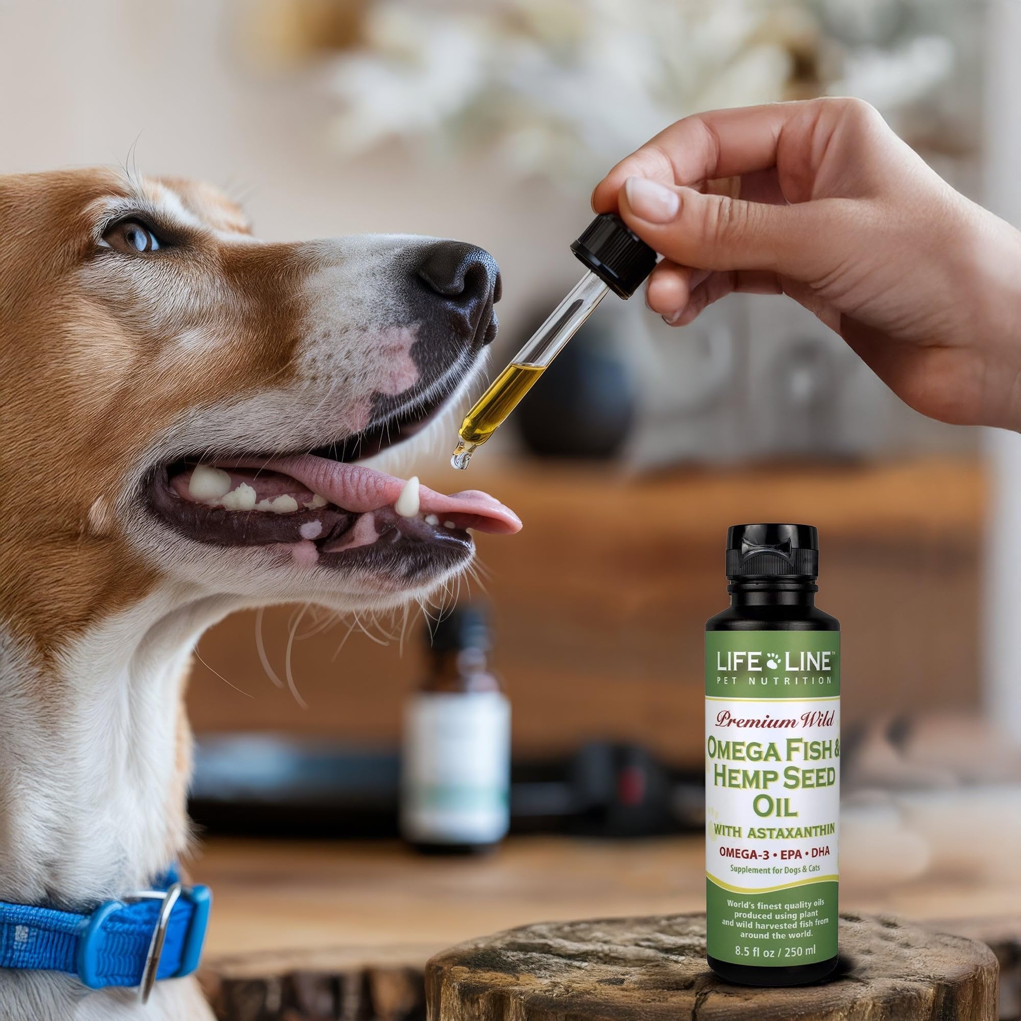 Life Line Pet Nutrition Omega Fish & Hemp Seed Oil - Omega 3 Supplement for Improved Skin, Coat and Joint Health, 8.5 Fl Oz